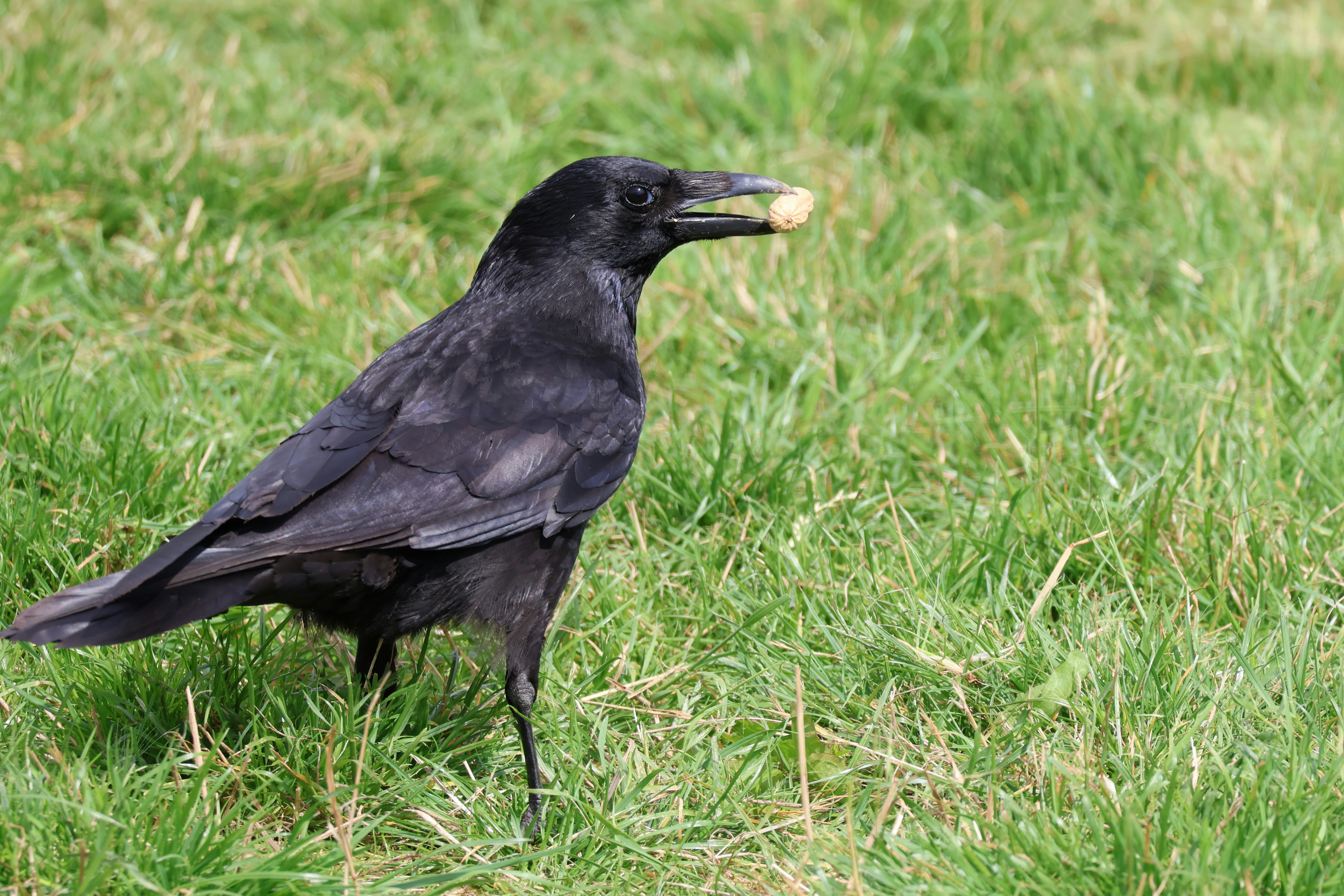 Photo by shooter__andy