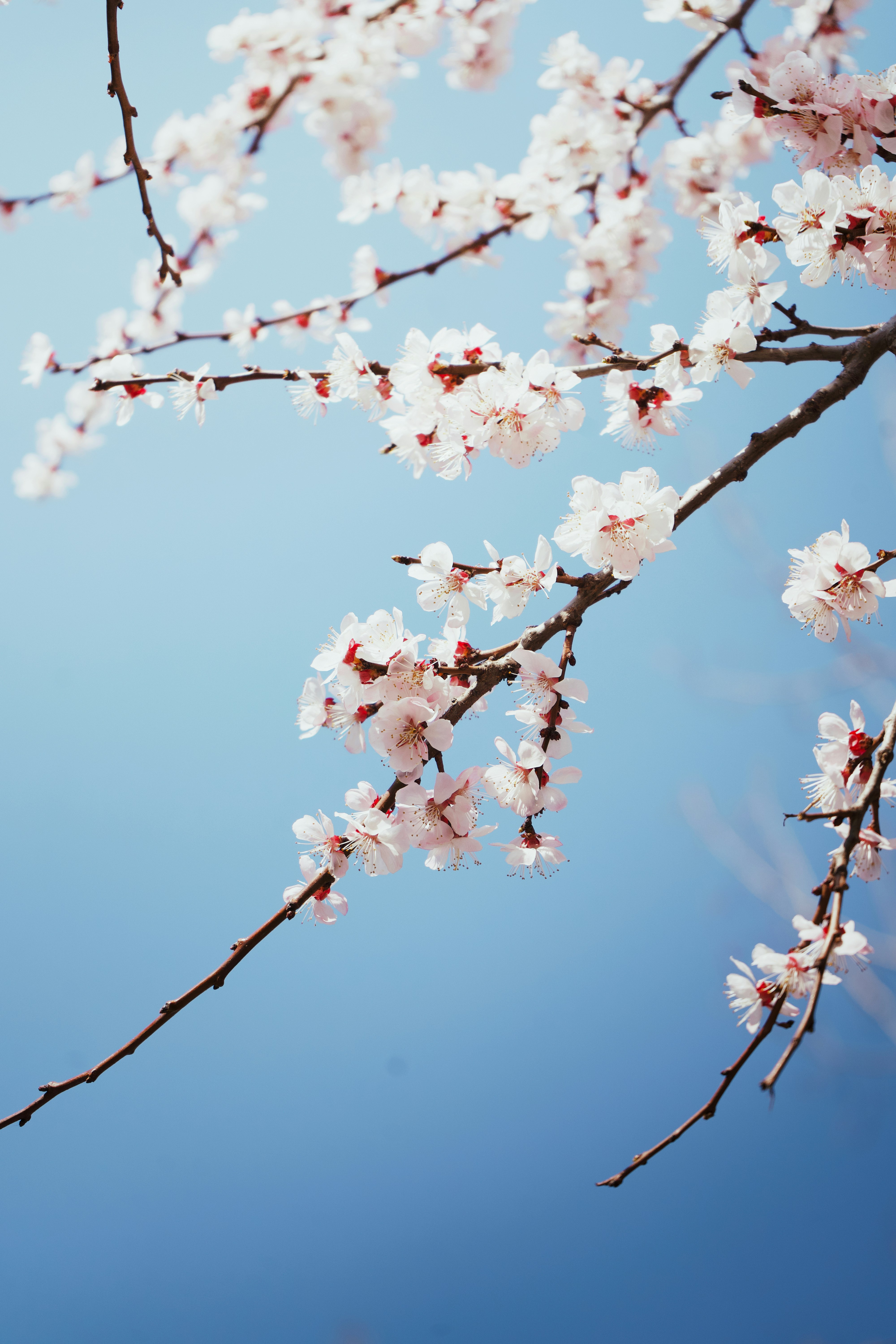 Photo by spacetourist