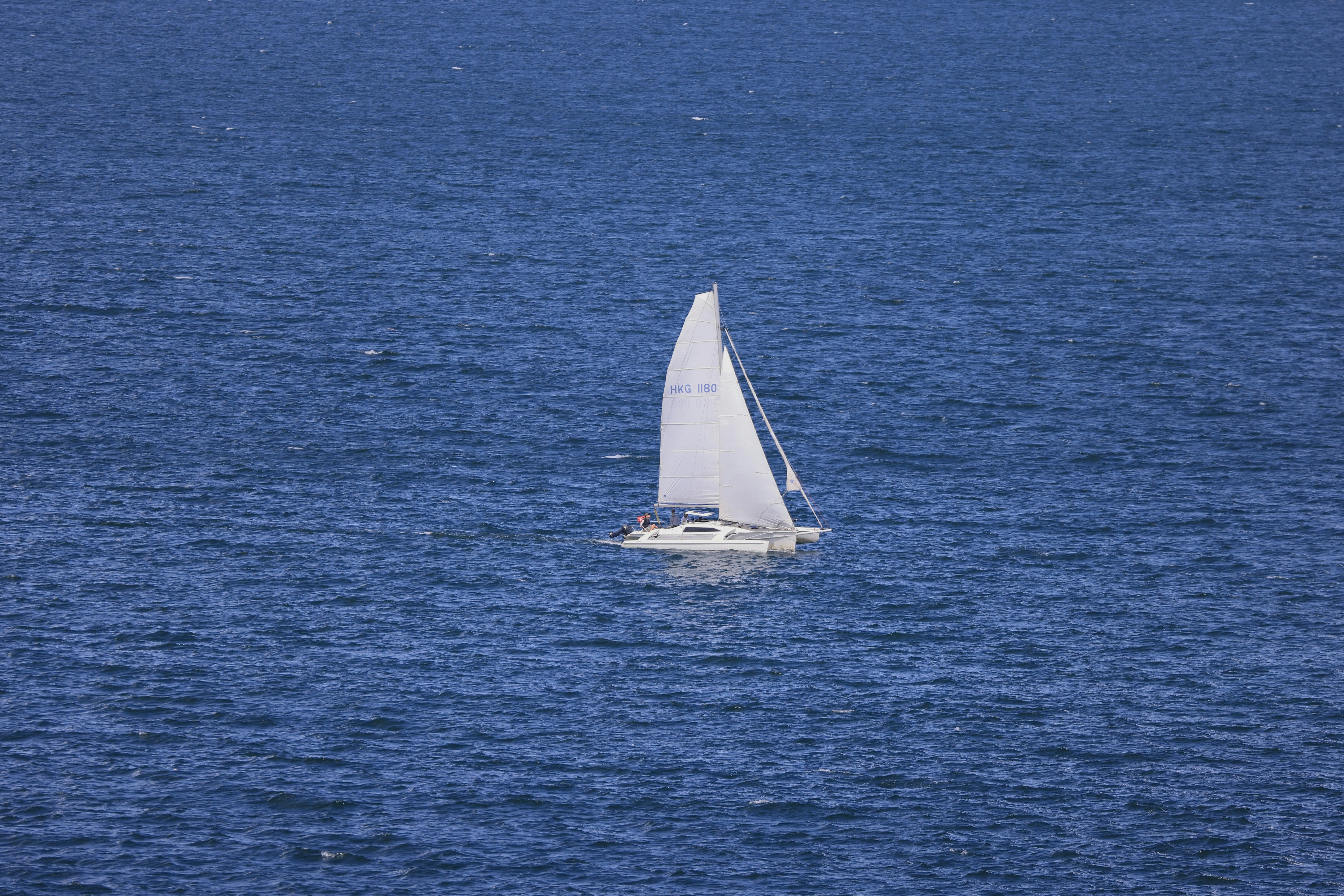 Photo by dickenslin76