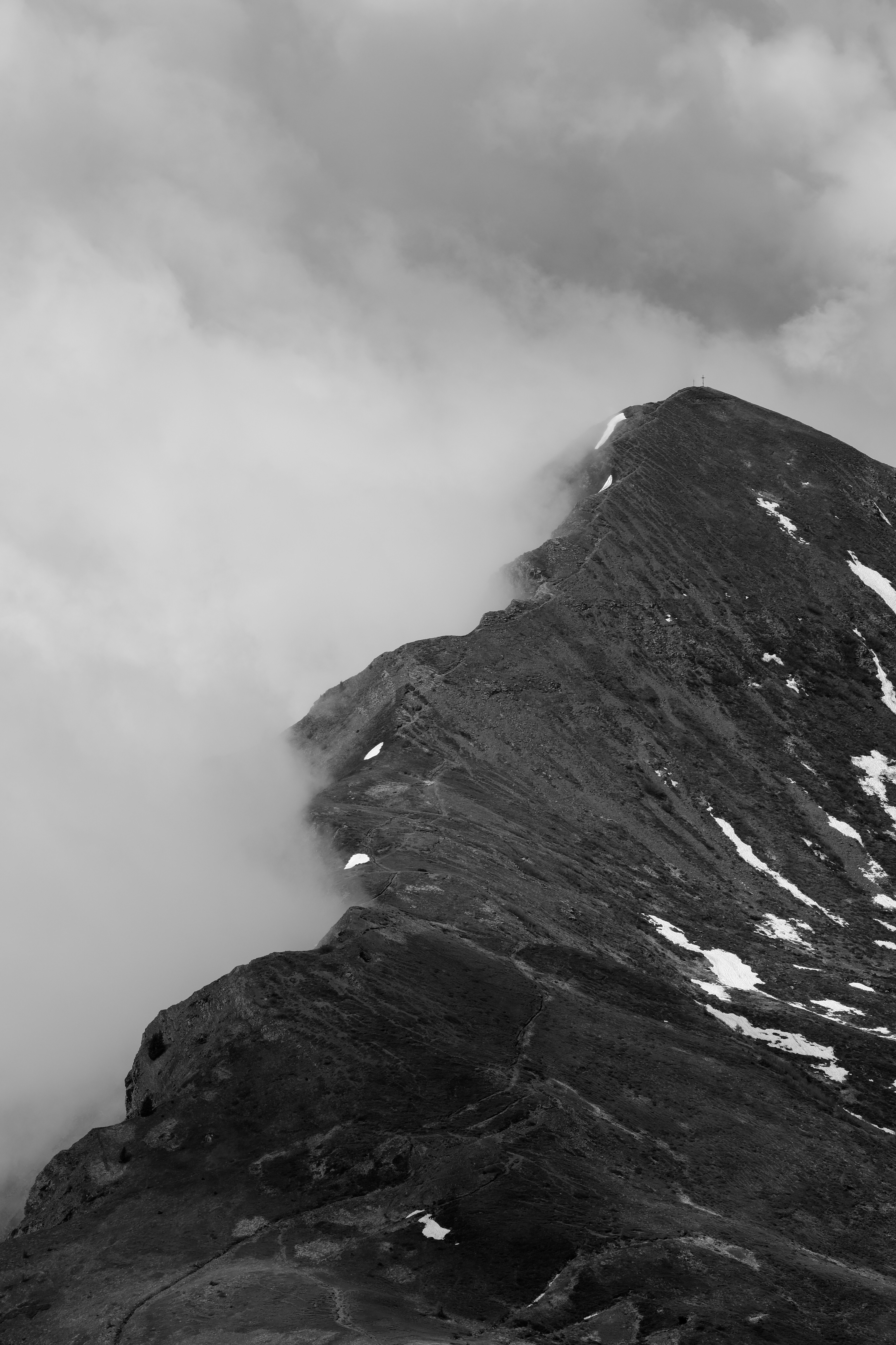 Photo by cestmoisheedy