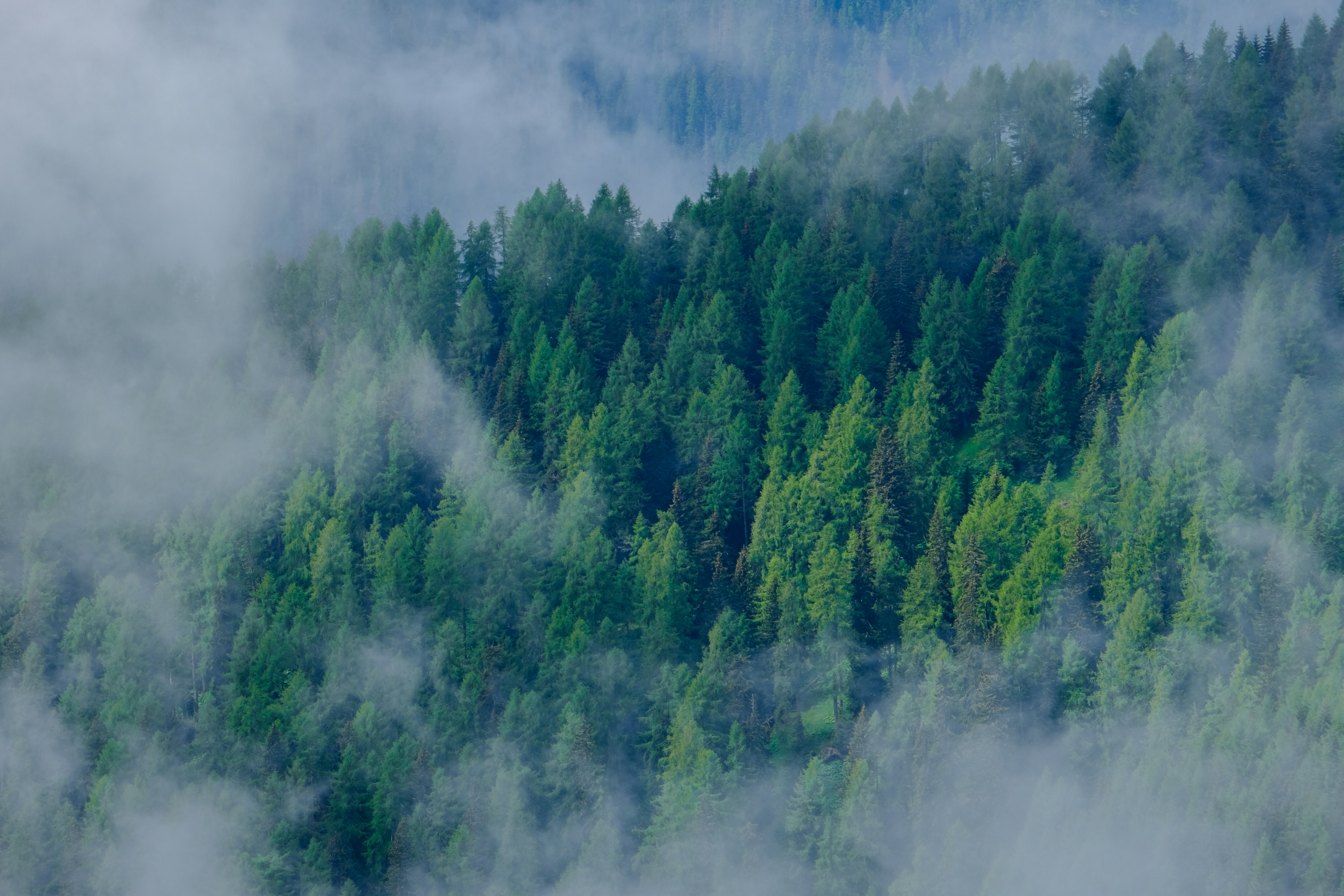 Photo by cestmoisheedy