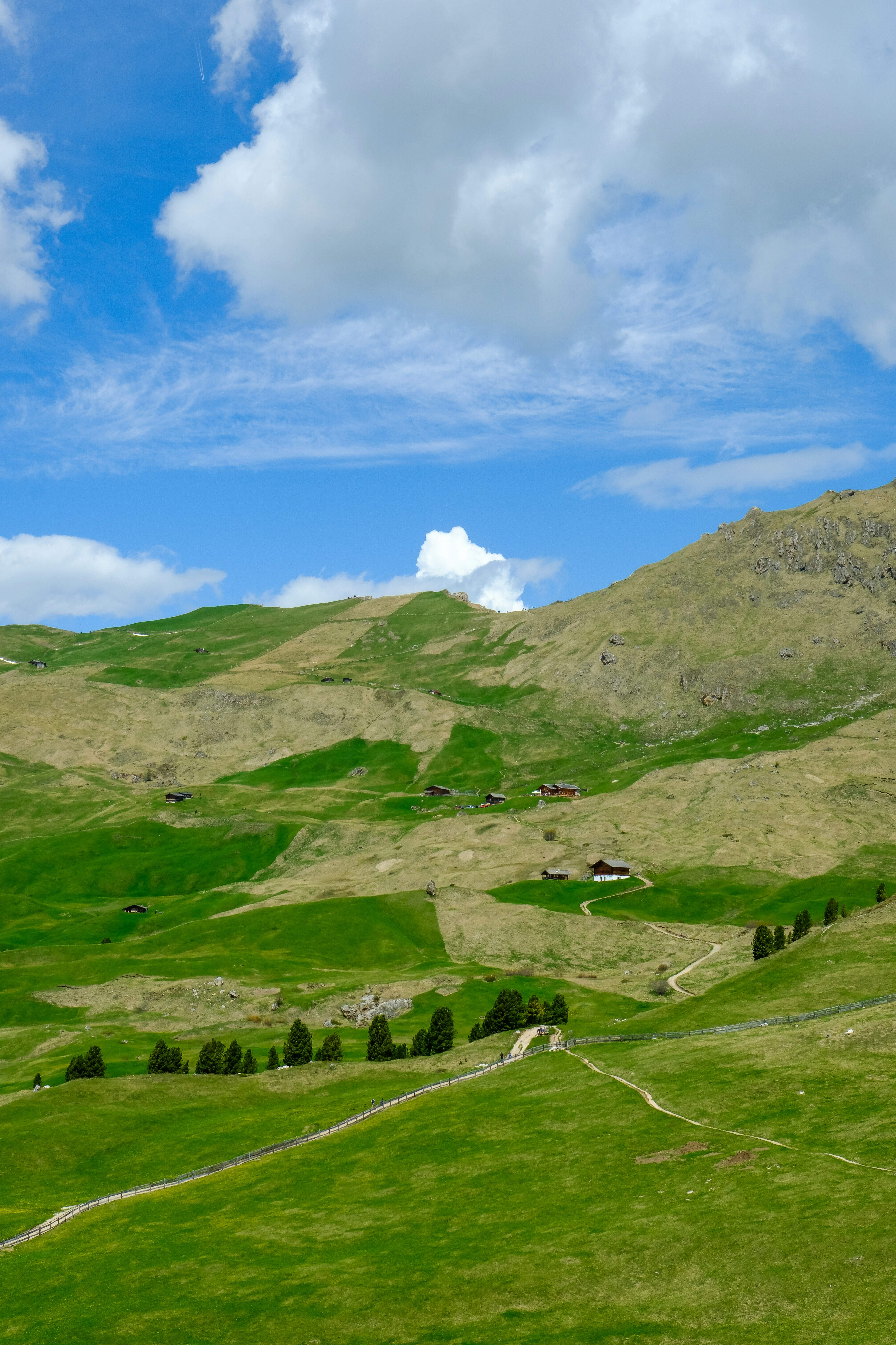 Photo by cestmoisheedy