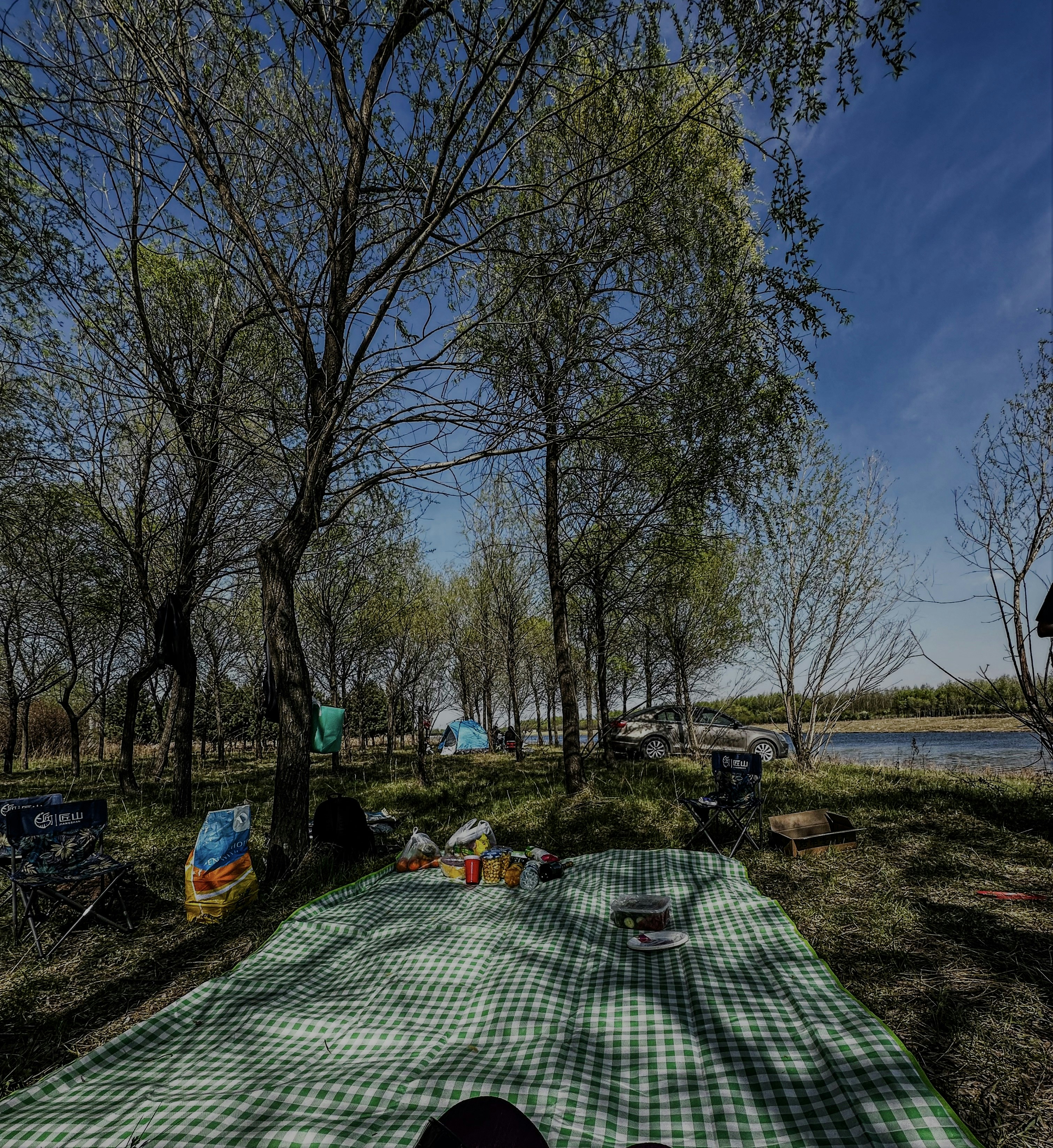 A person laying on top of a green and white checkered blanket