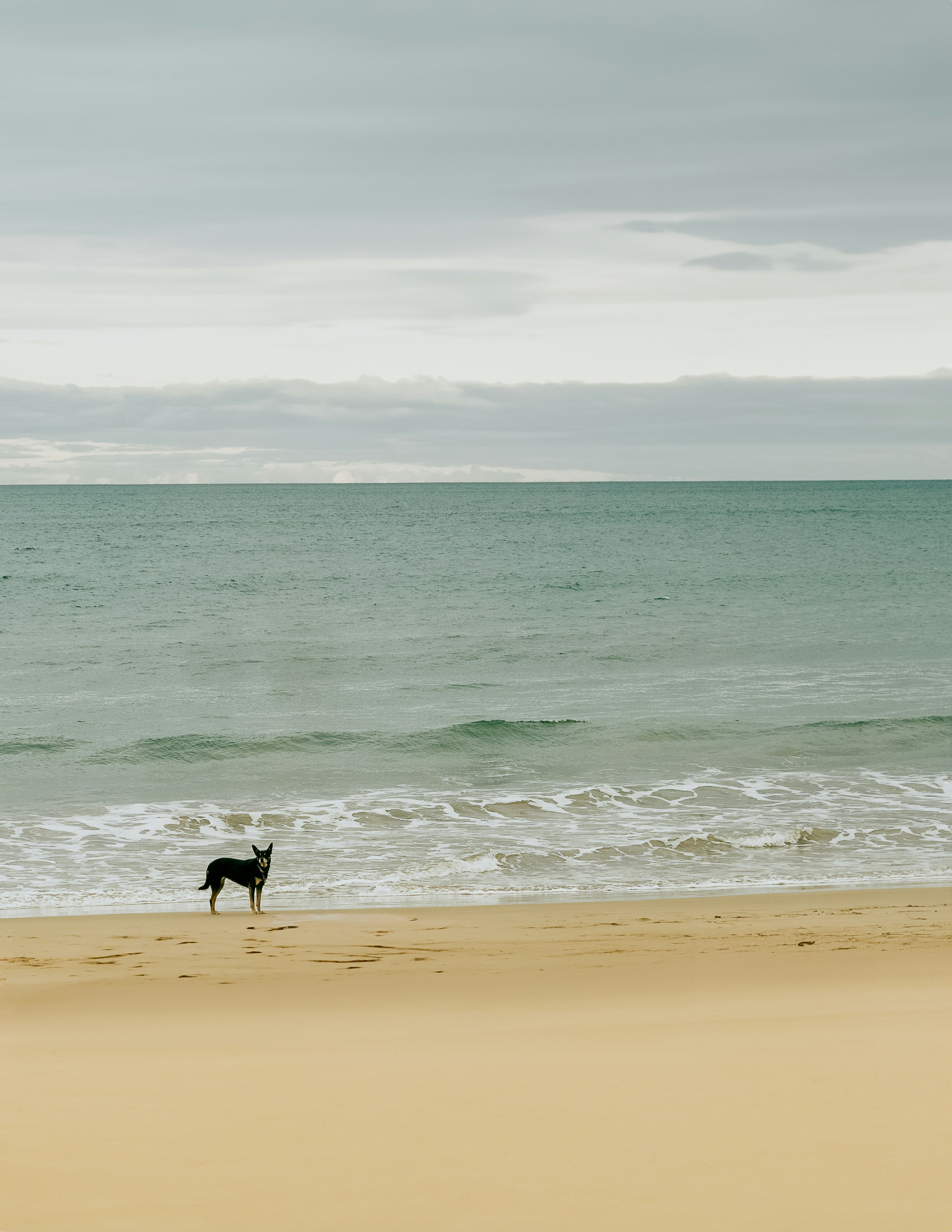 Photo by alihancaglar