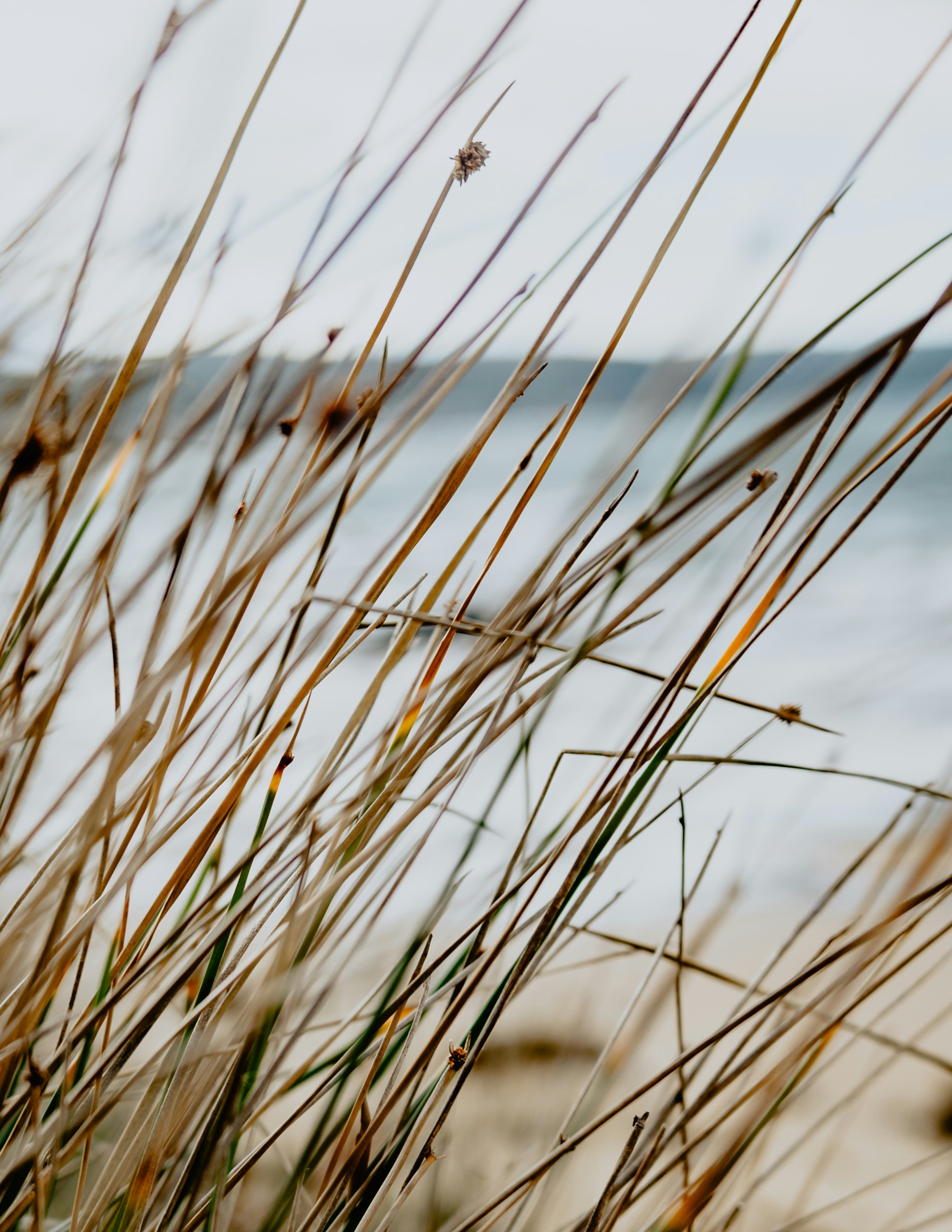 Photo by alihancaglar