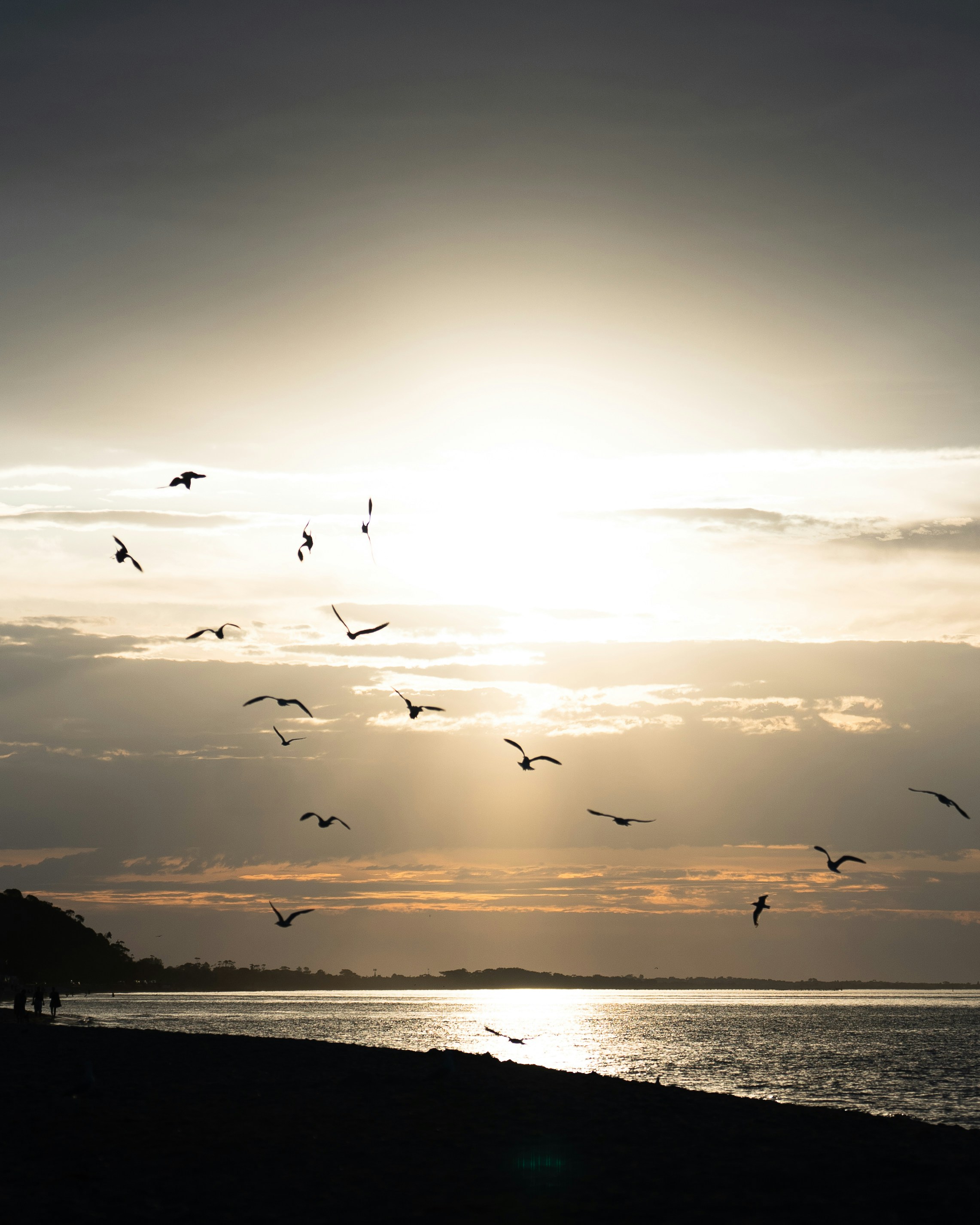 Photo by alihancaglar