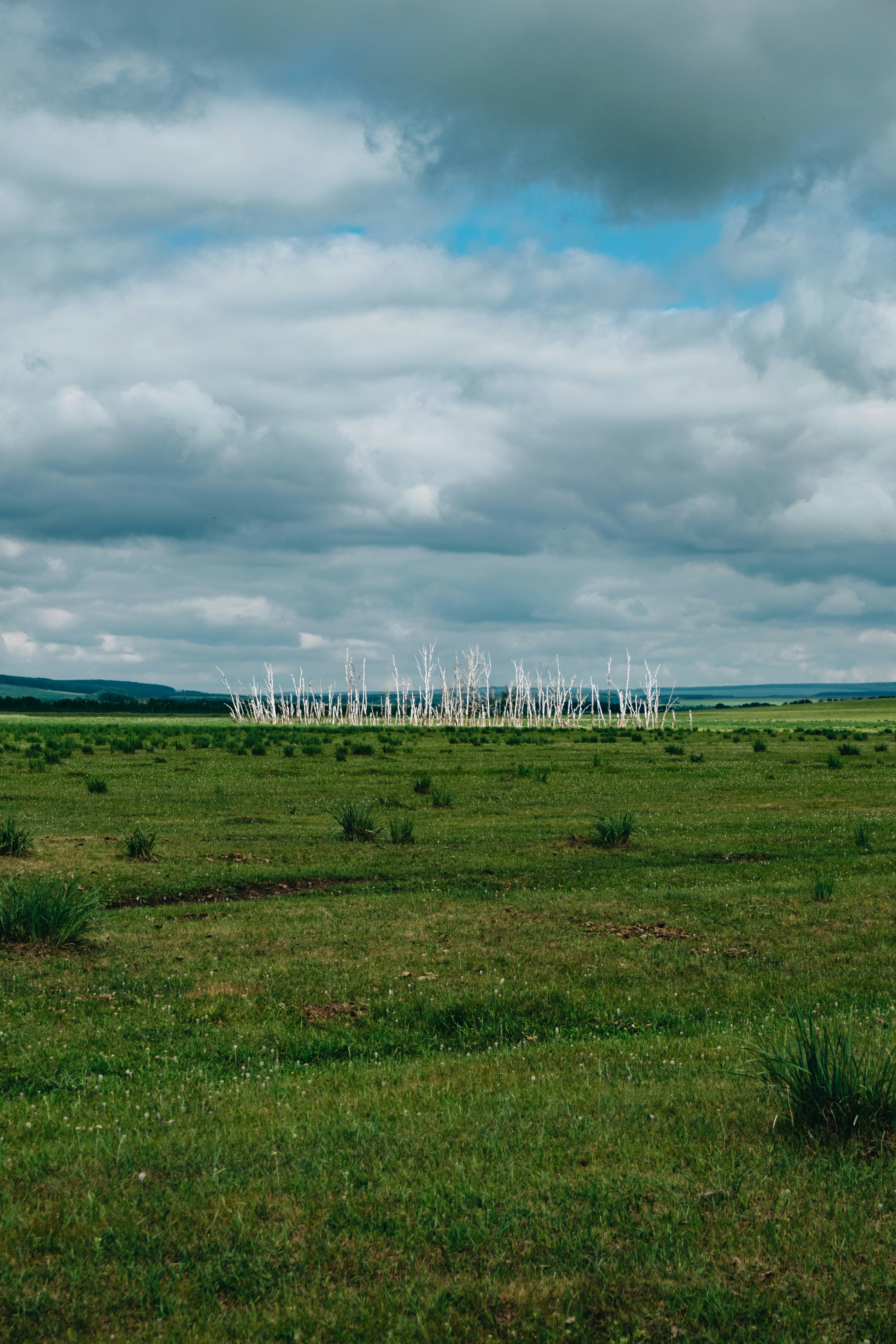 A large field with a bunch of wind mills in the distance