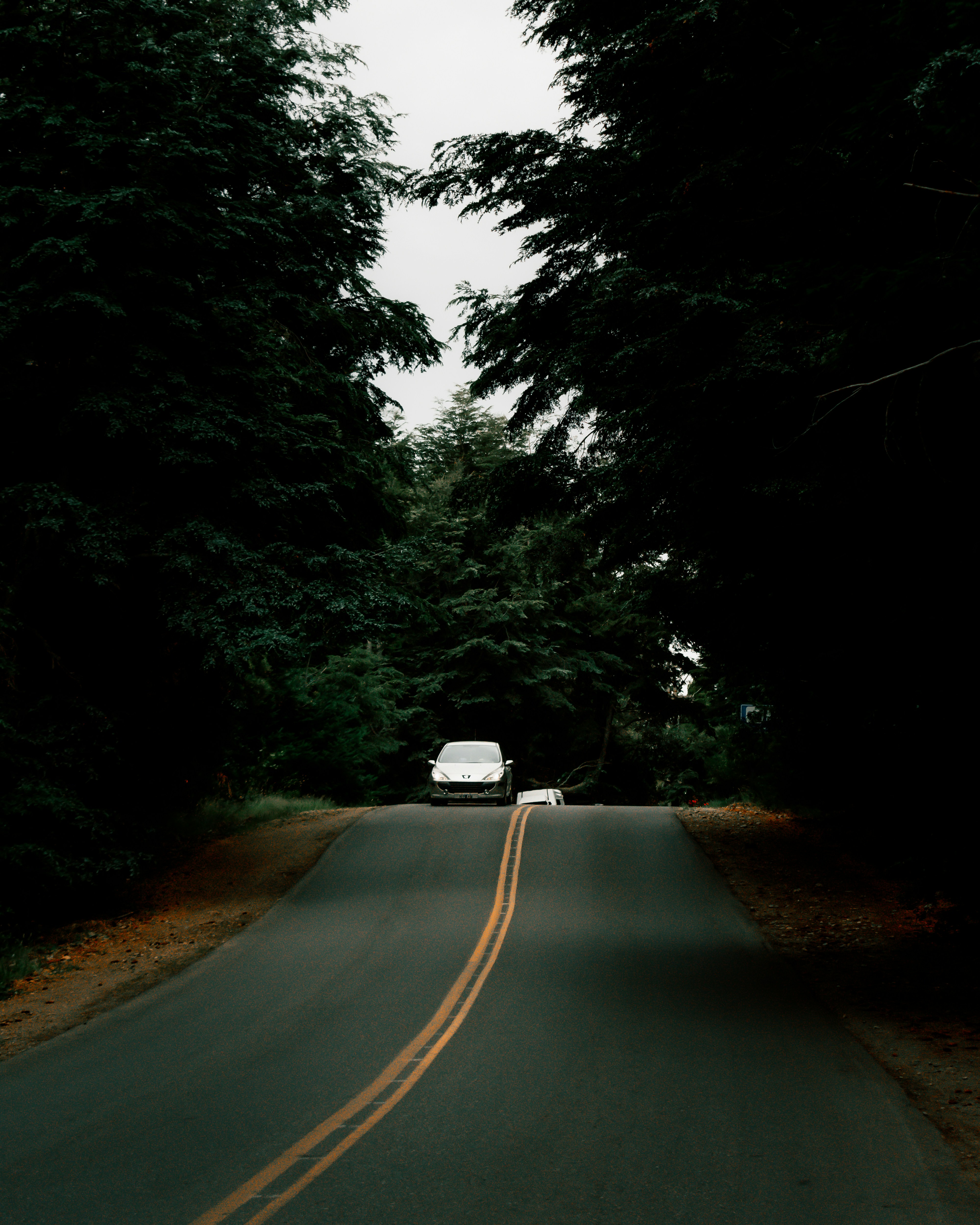 Photo by nicolasflor