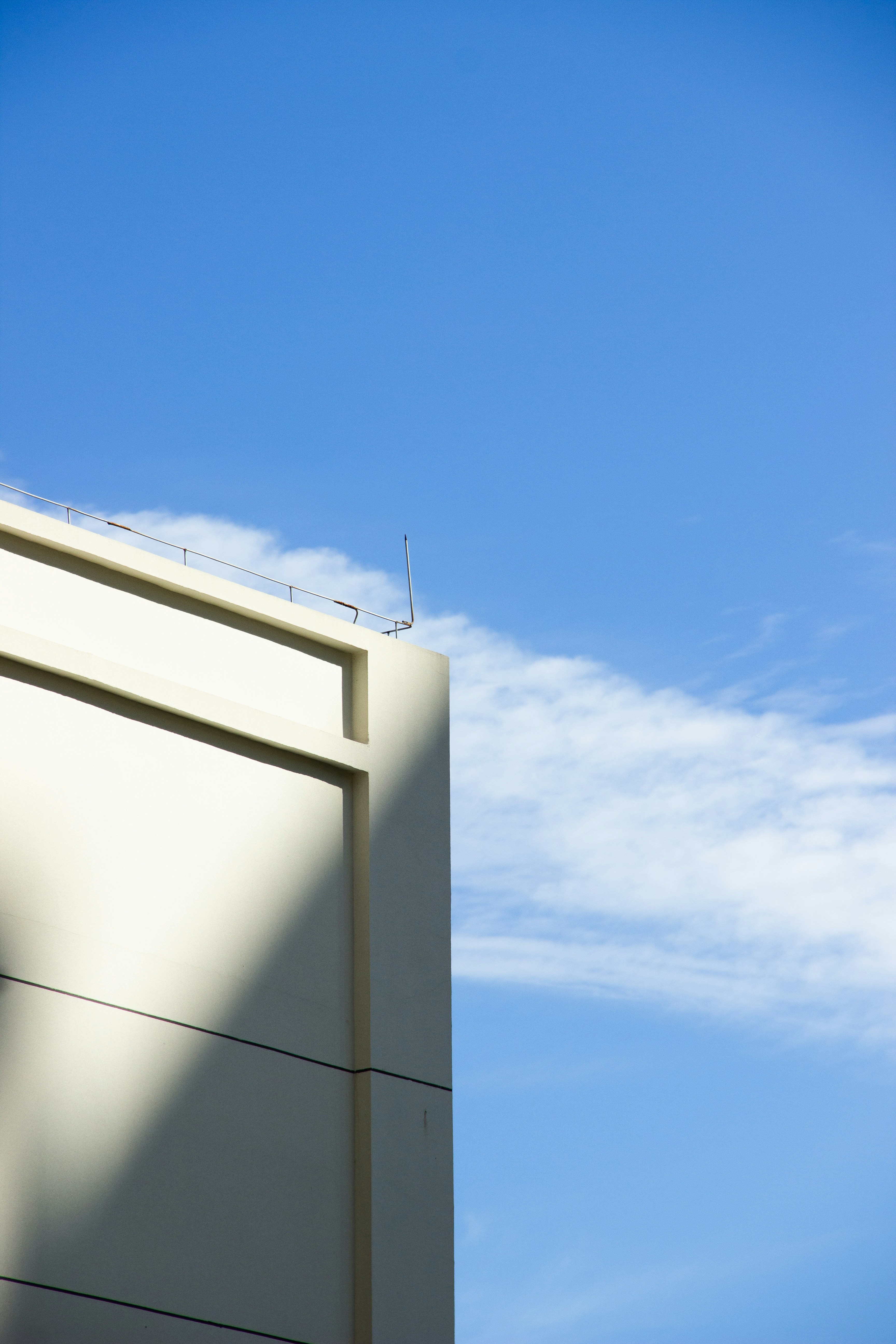 Photo by zollyphotograph