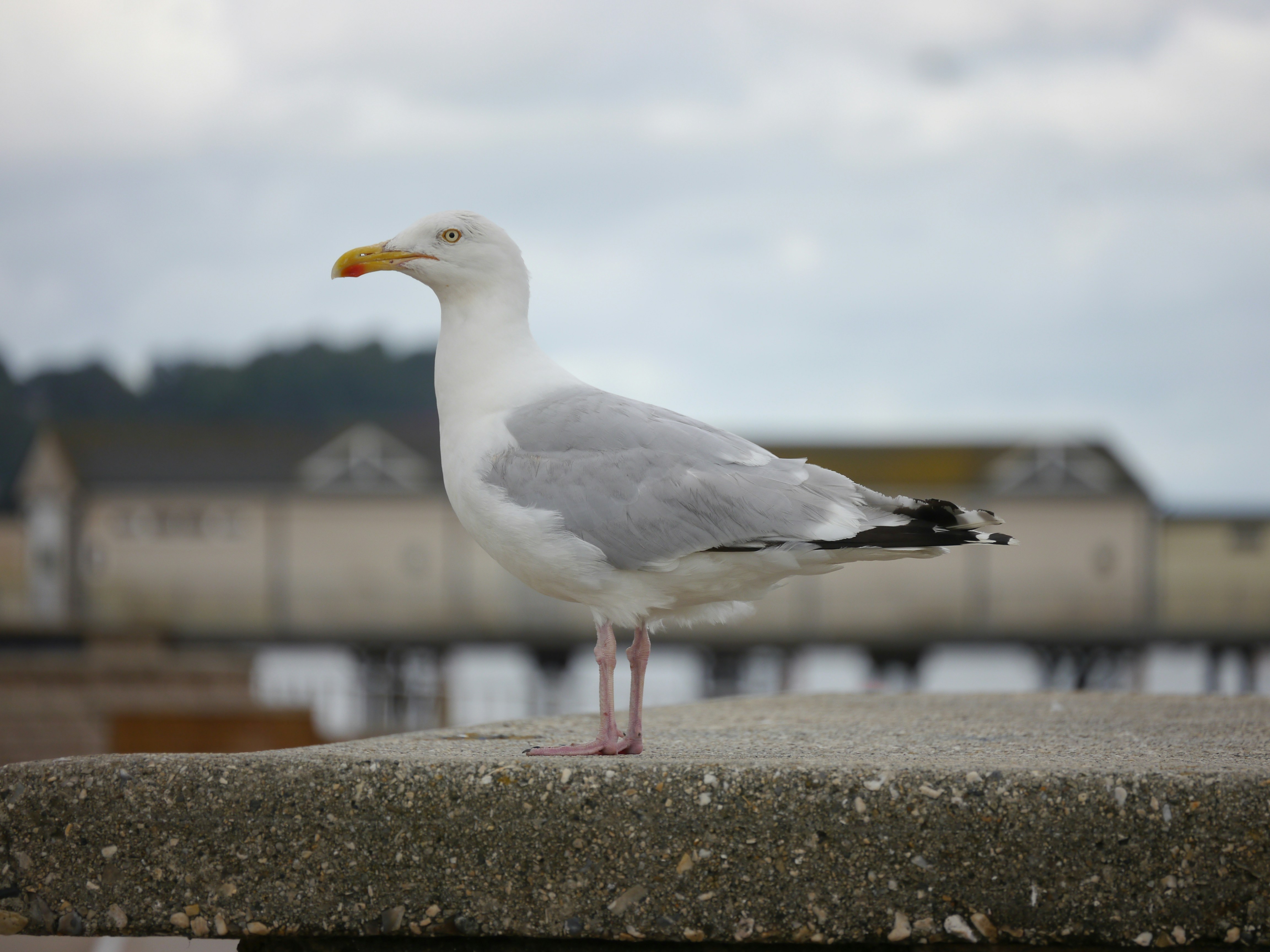 Photo by iqsphotography