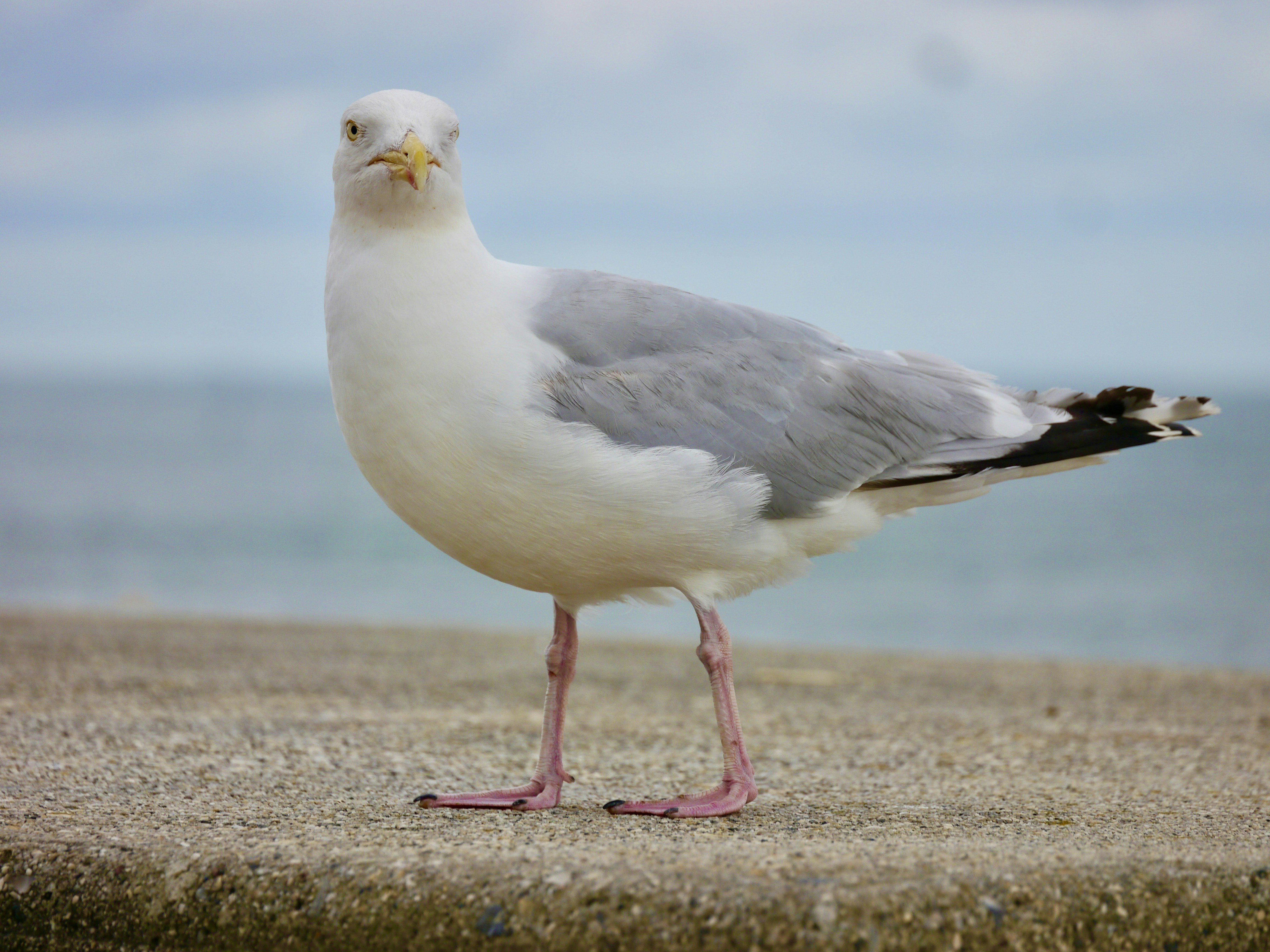 Photo by iqsphotography