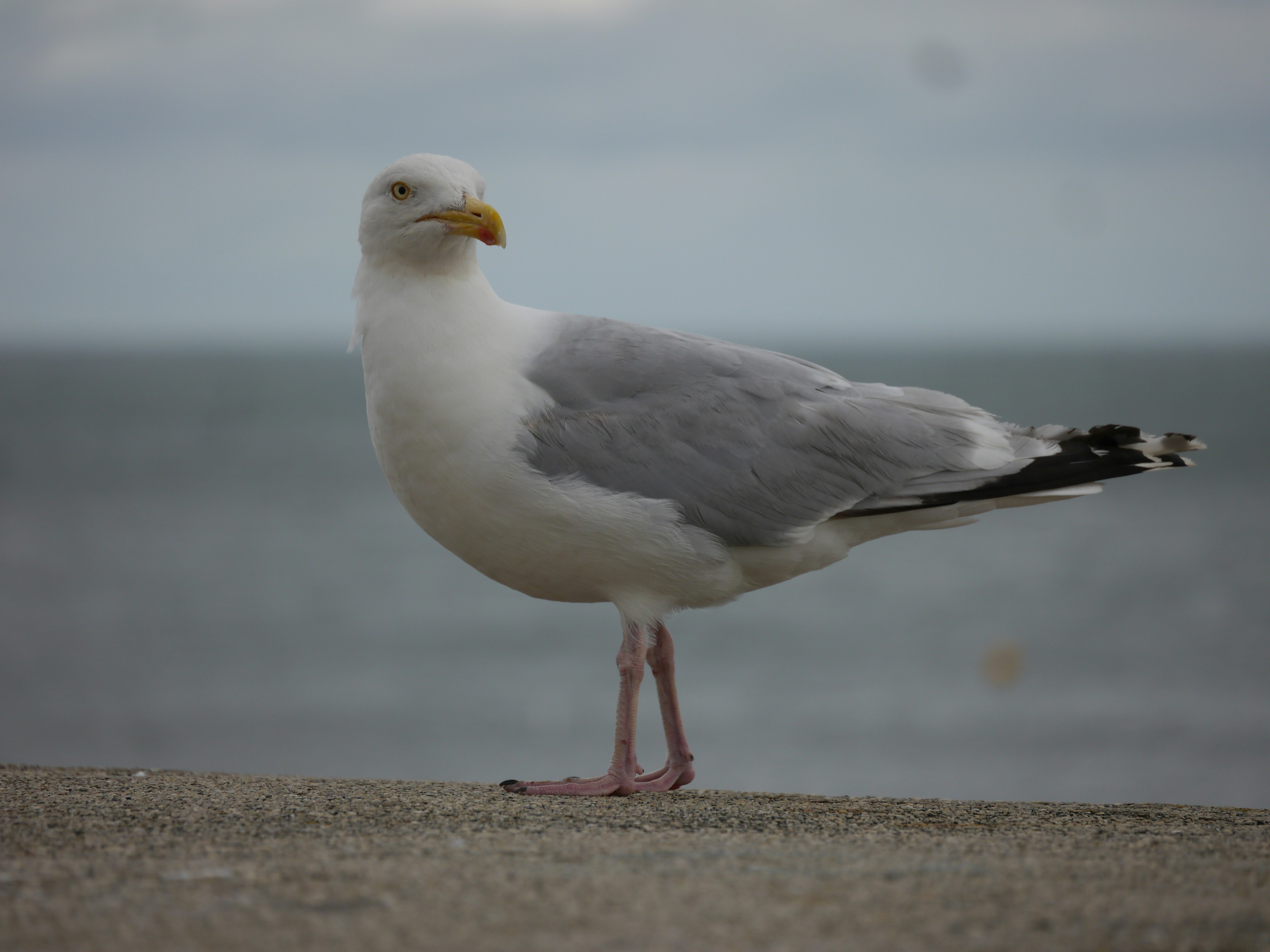 Photo by iqsphotography