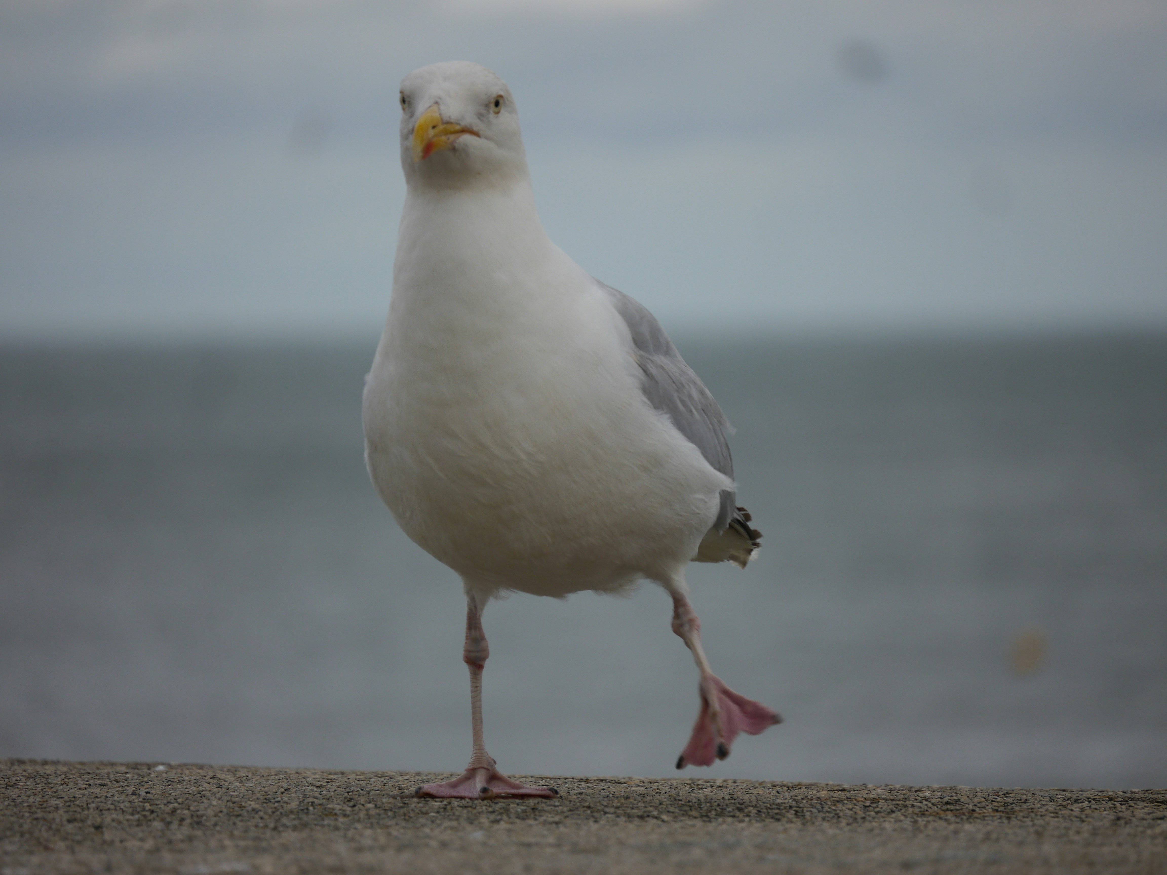 Photo by iqsphotography