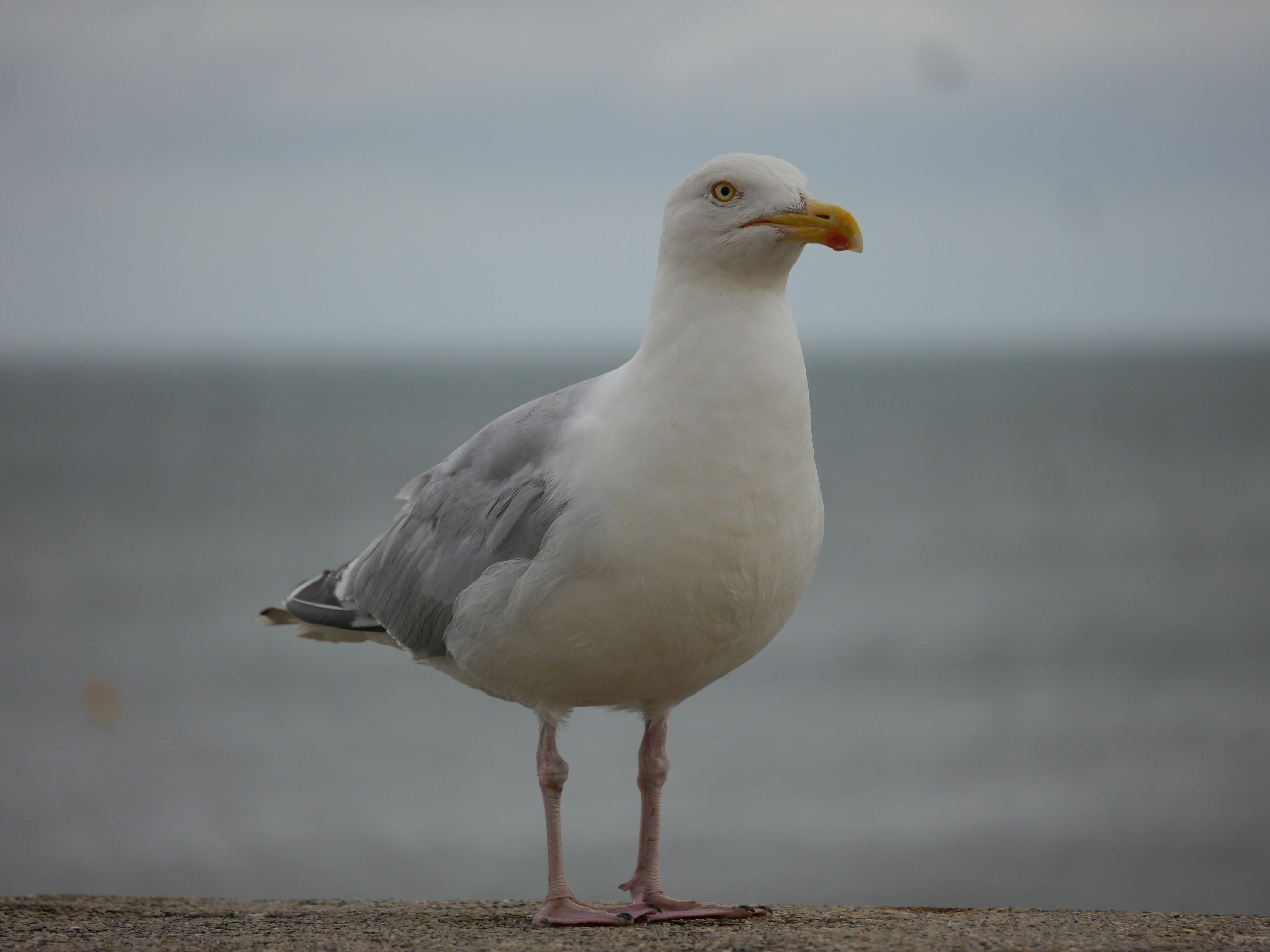 Photo by iqsphotography