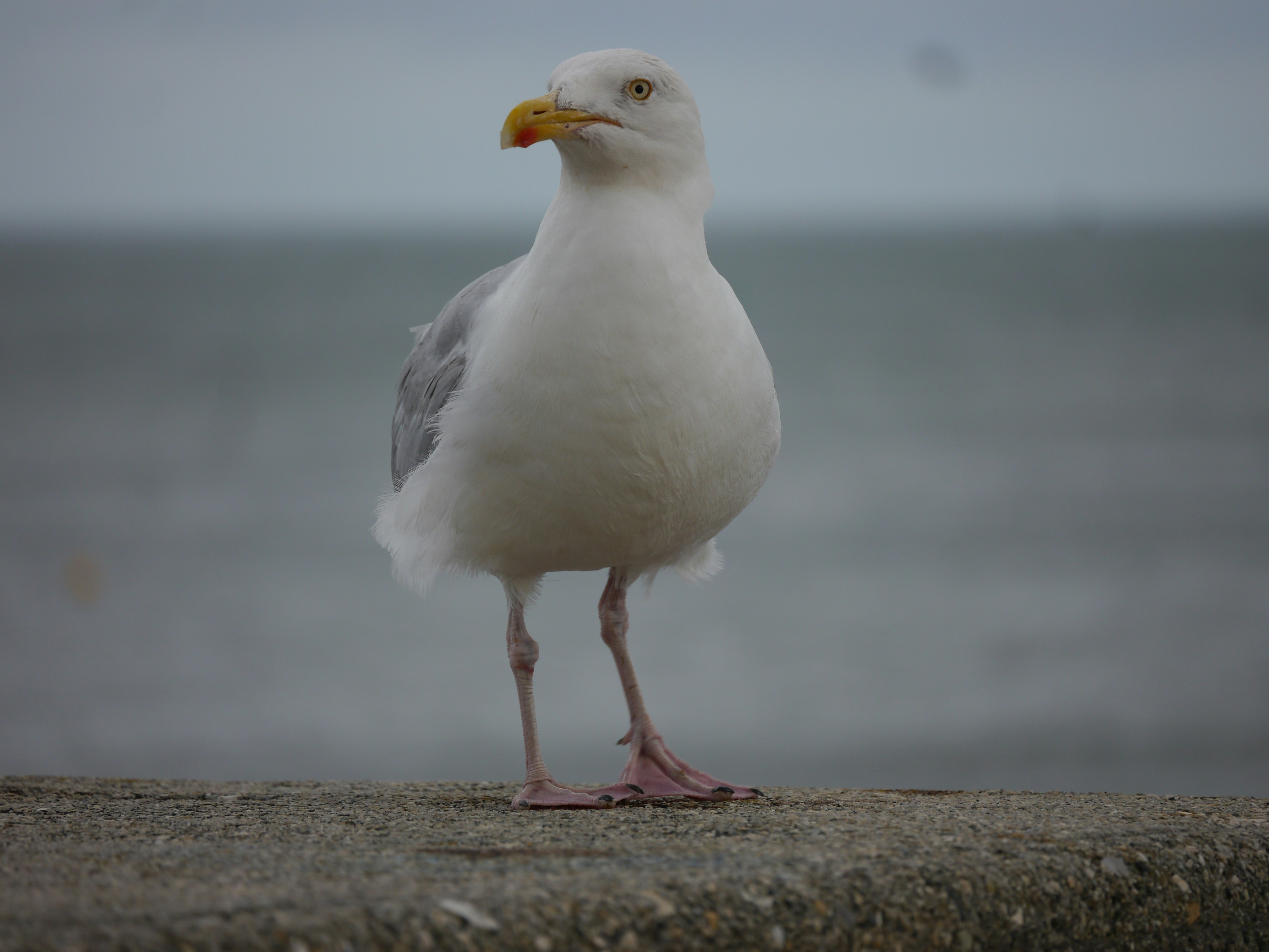 Photo by iqsphotography