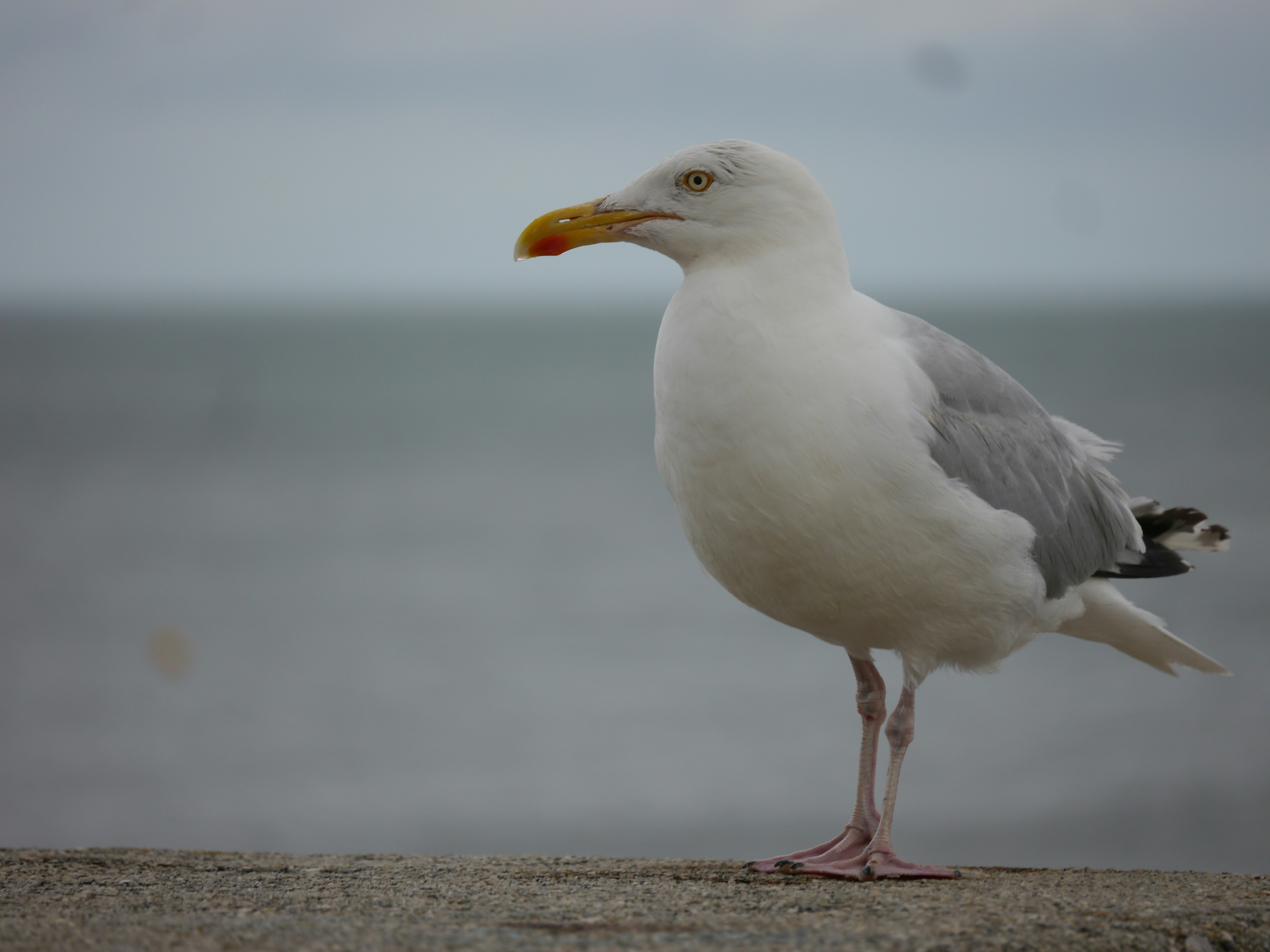 Photo by iqsphotography