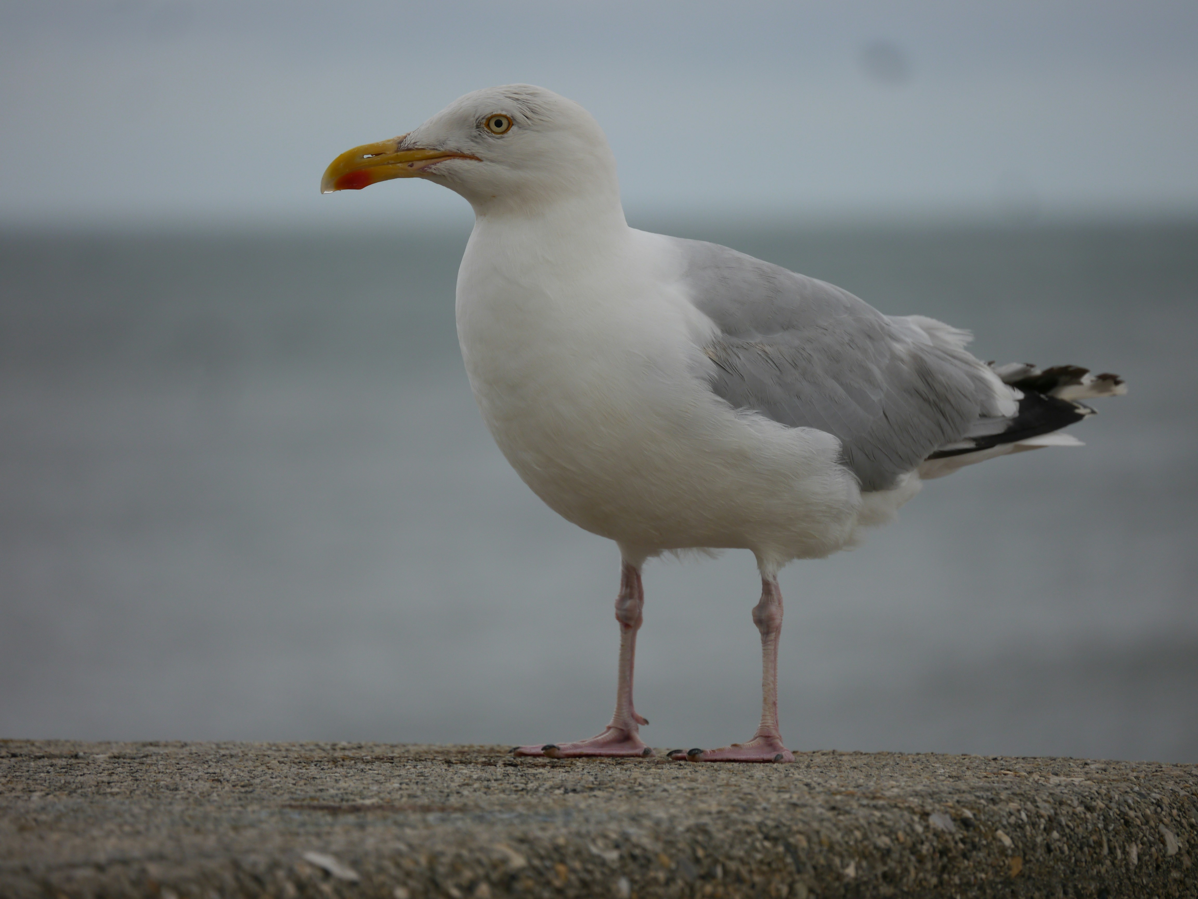 Photo by iqsphotography