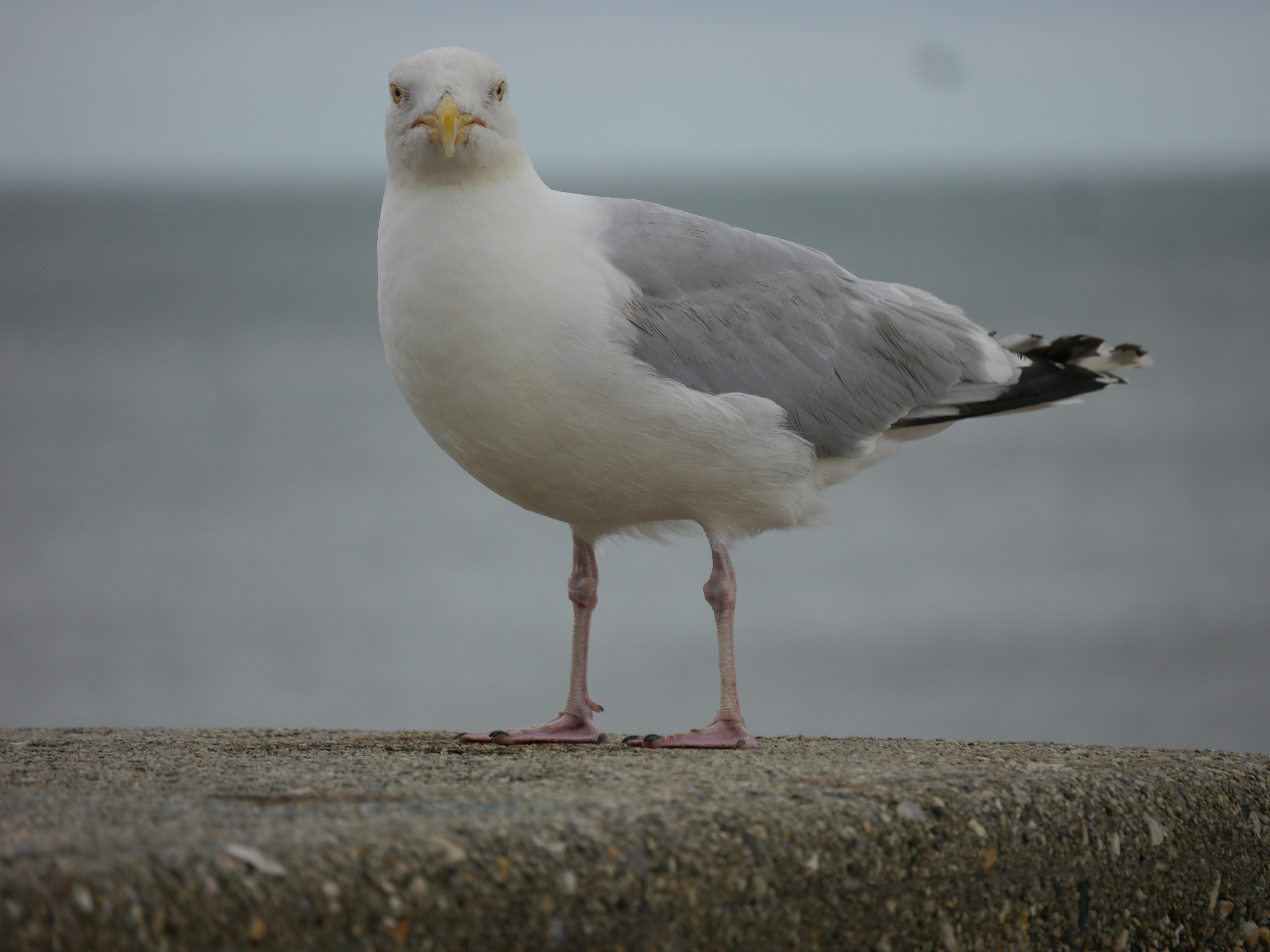 Photo by iqsphotography