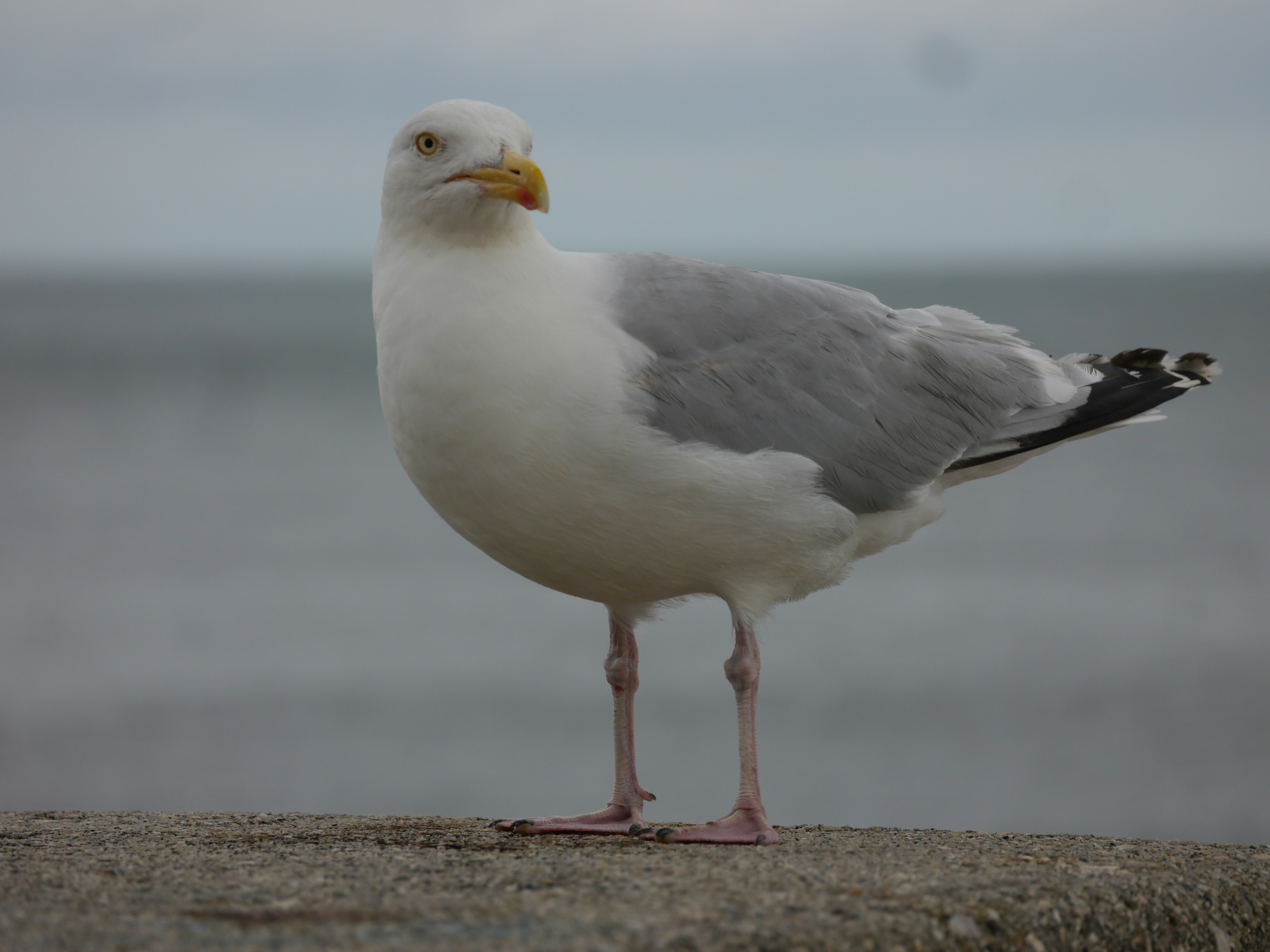 Photo by iqsphotography