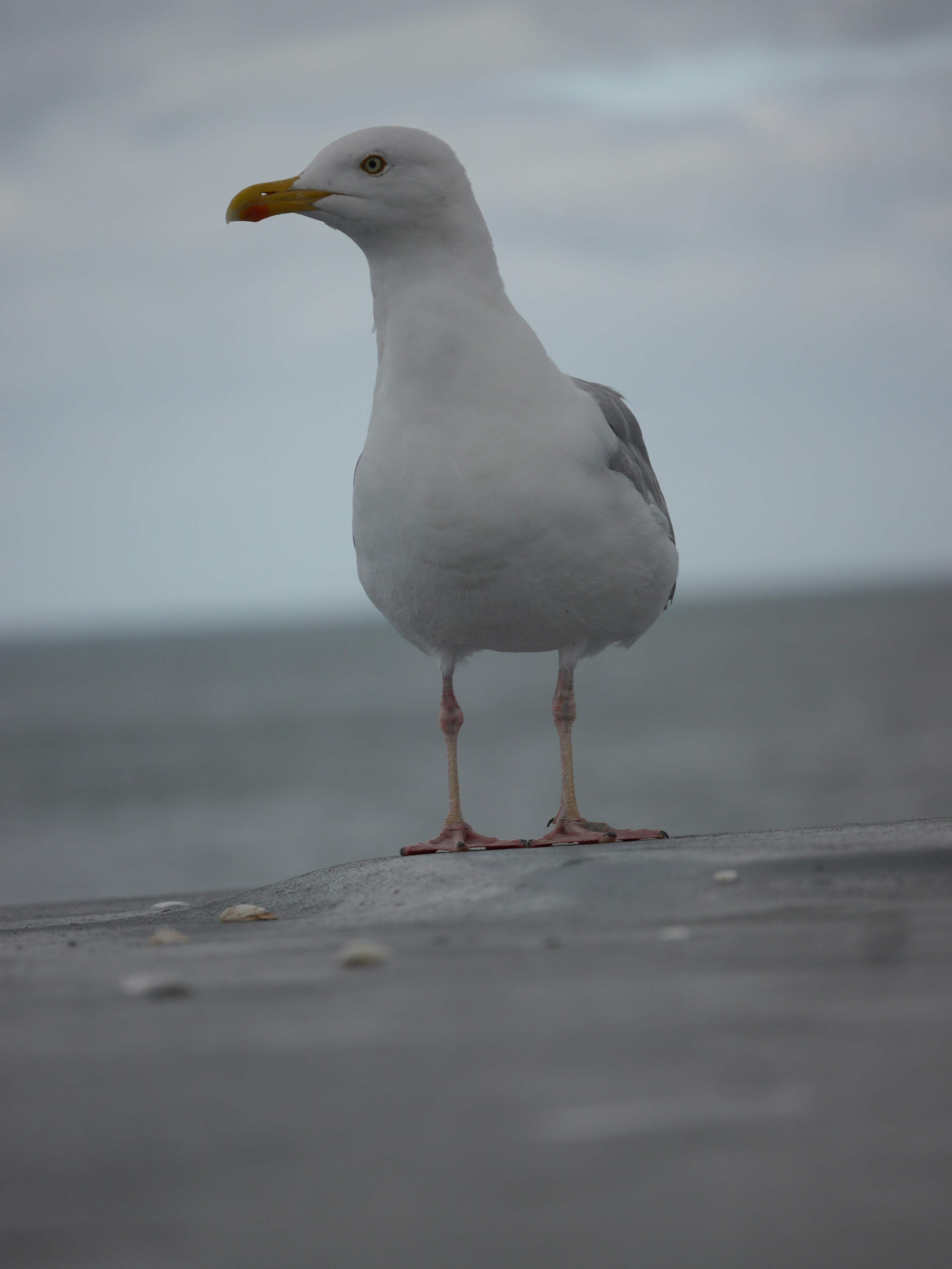 Photo by iqsphotography