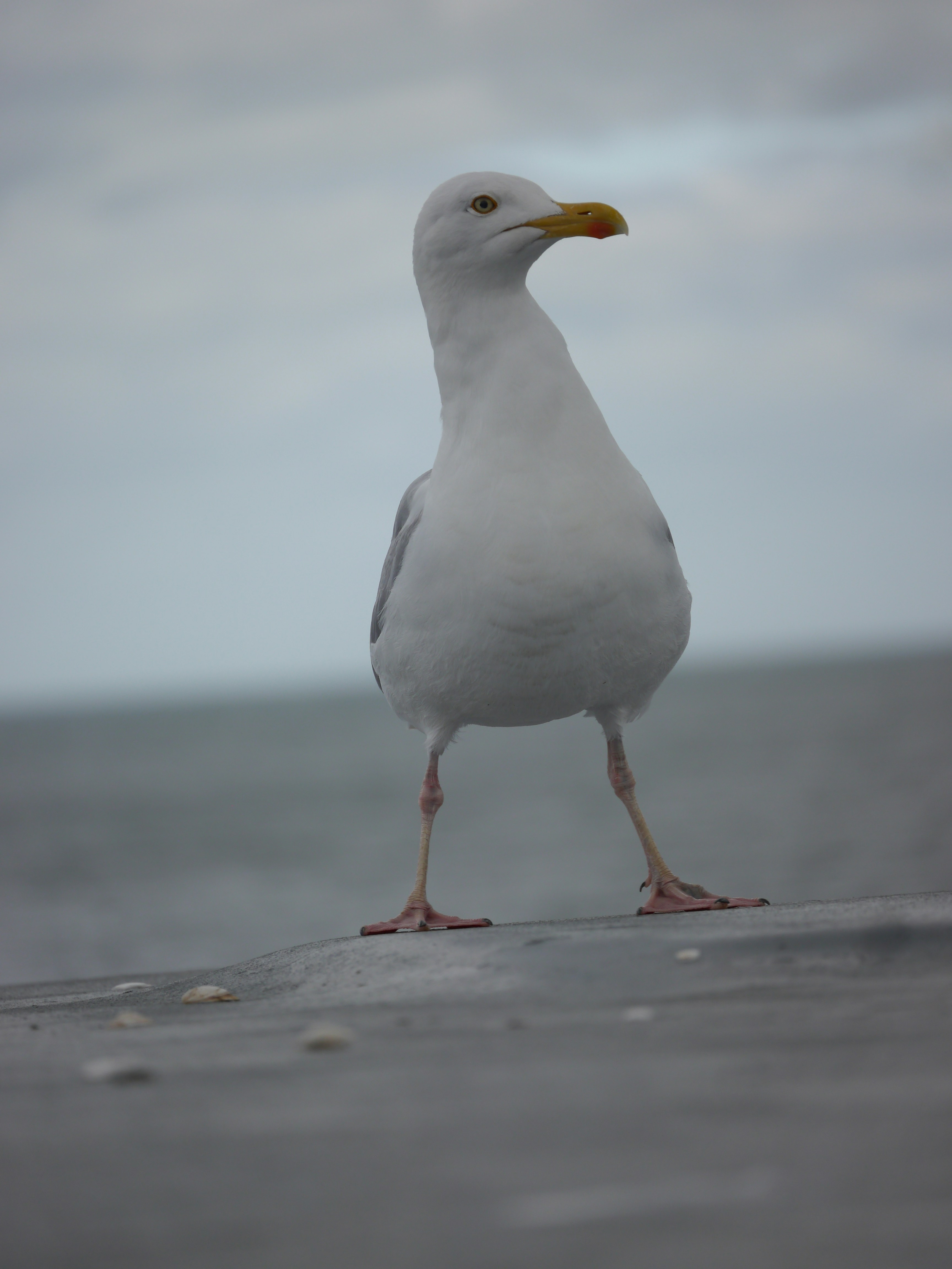 Photo by iqsphotography