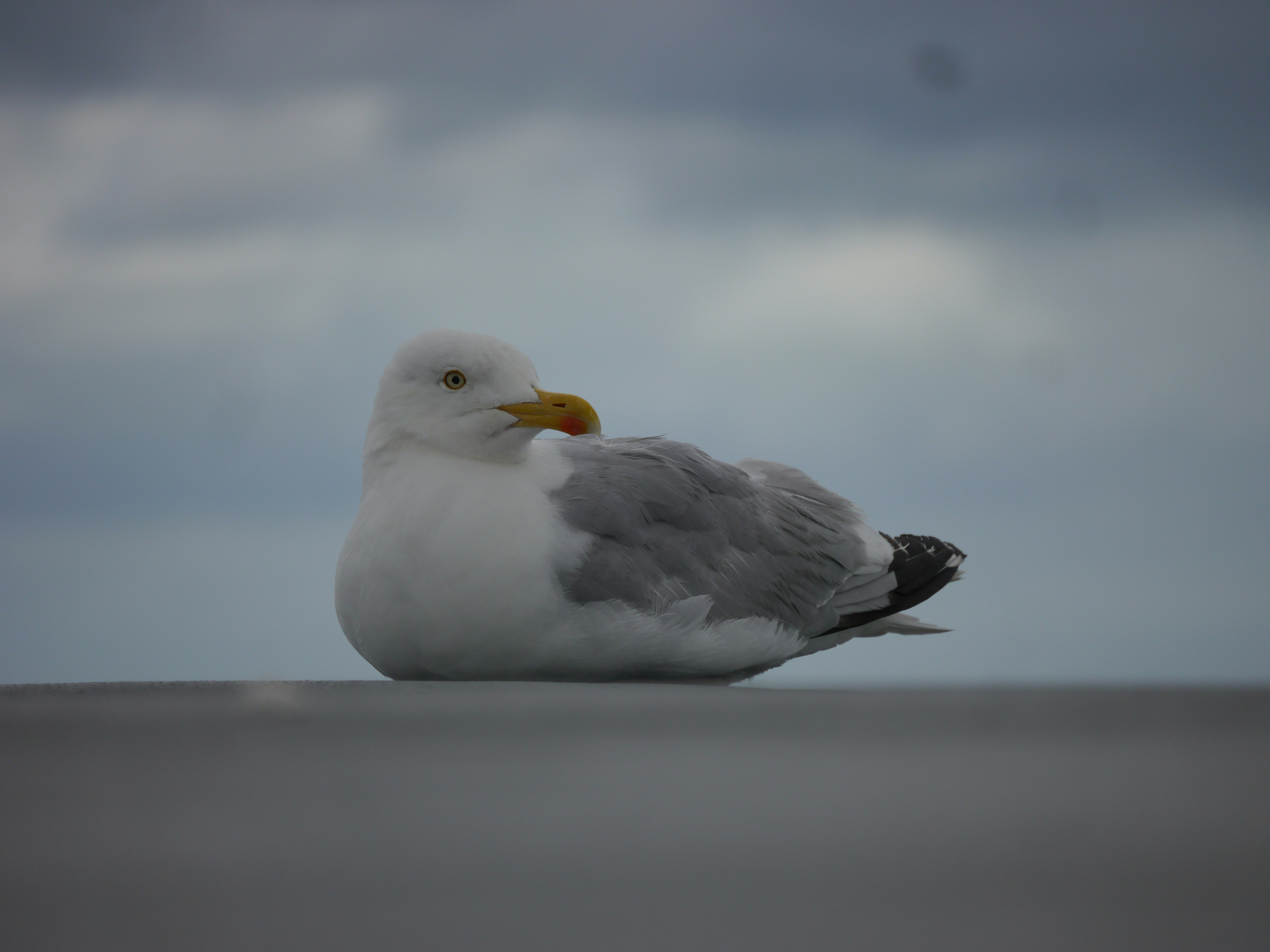 Photo by iqsphotography