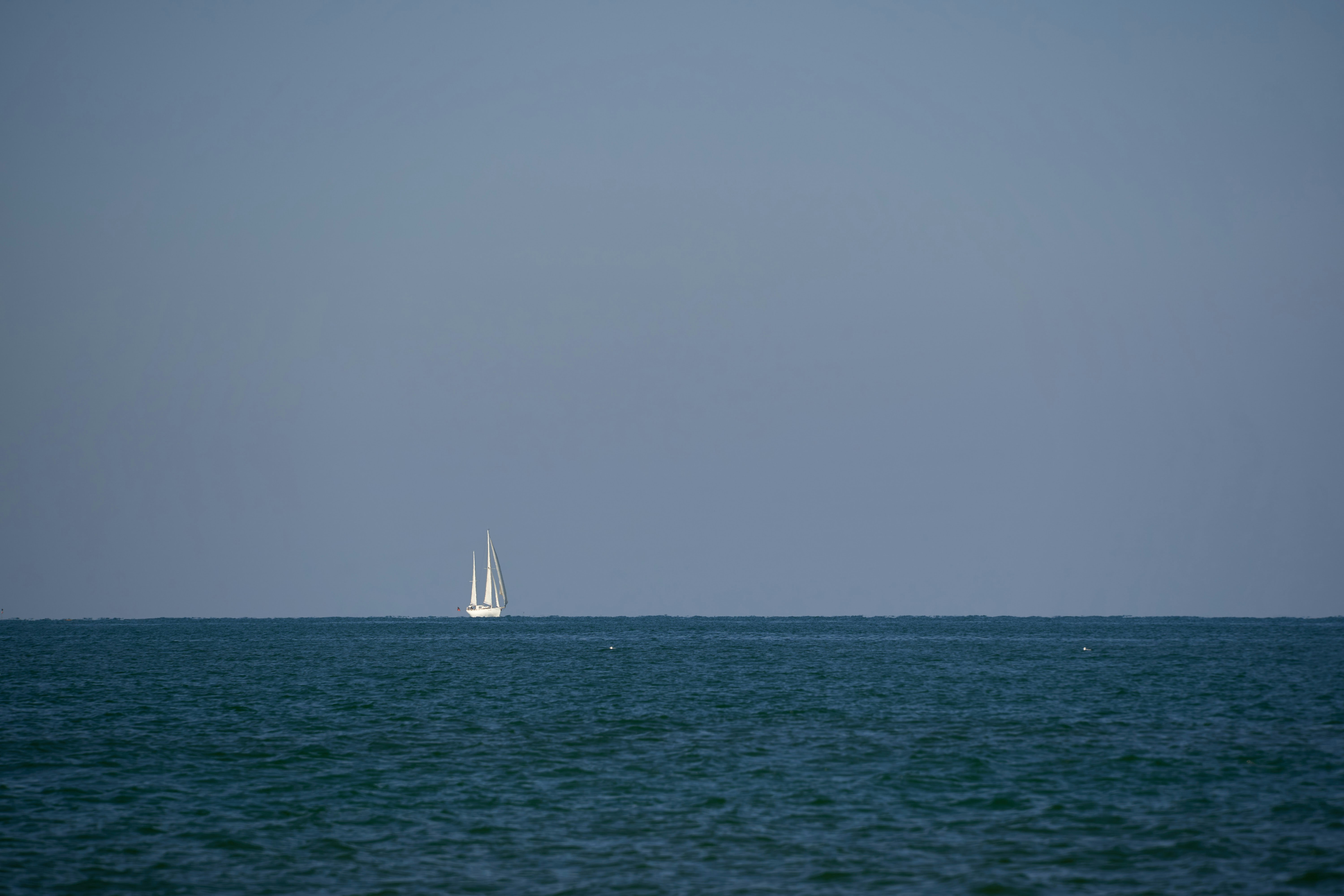 Photo by wolfgang_hasselmann