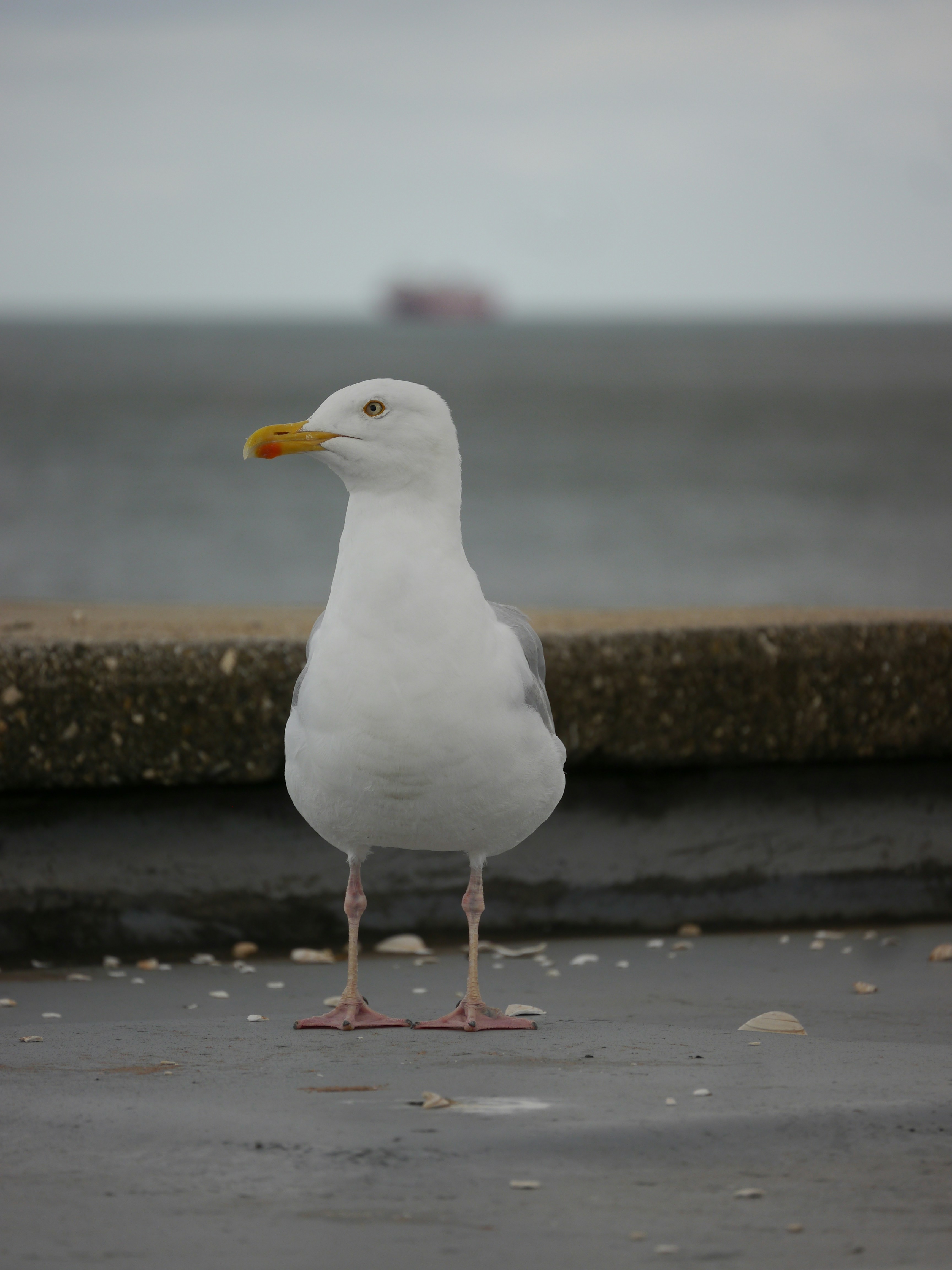 Photo by iqsphotography