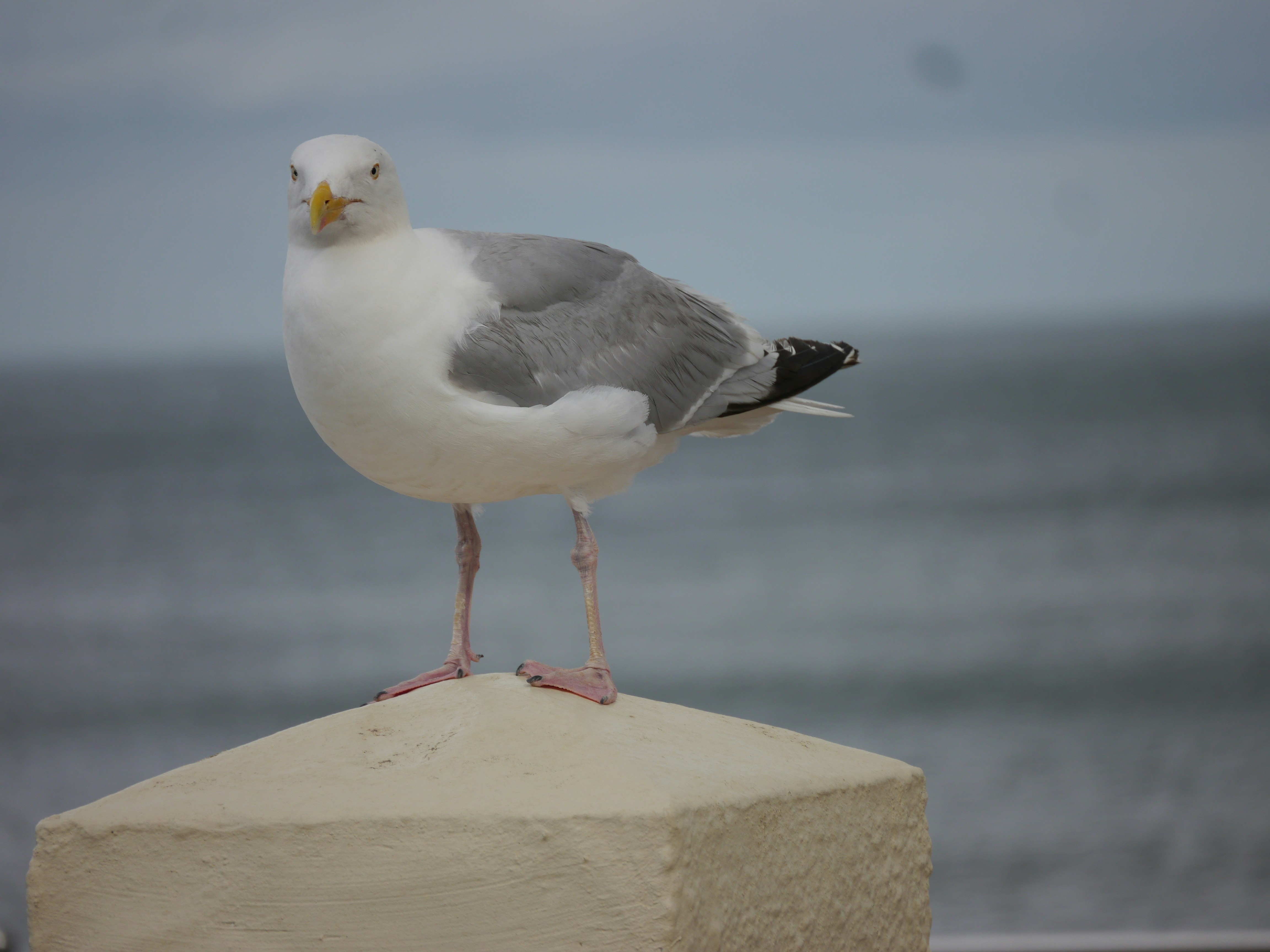 Photo by iqsphotography