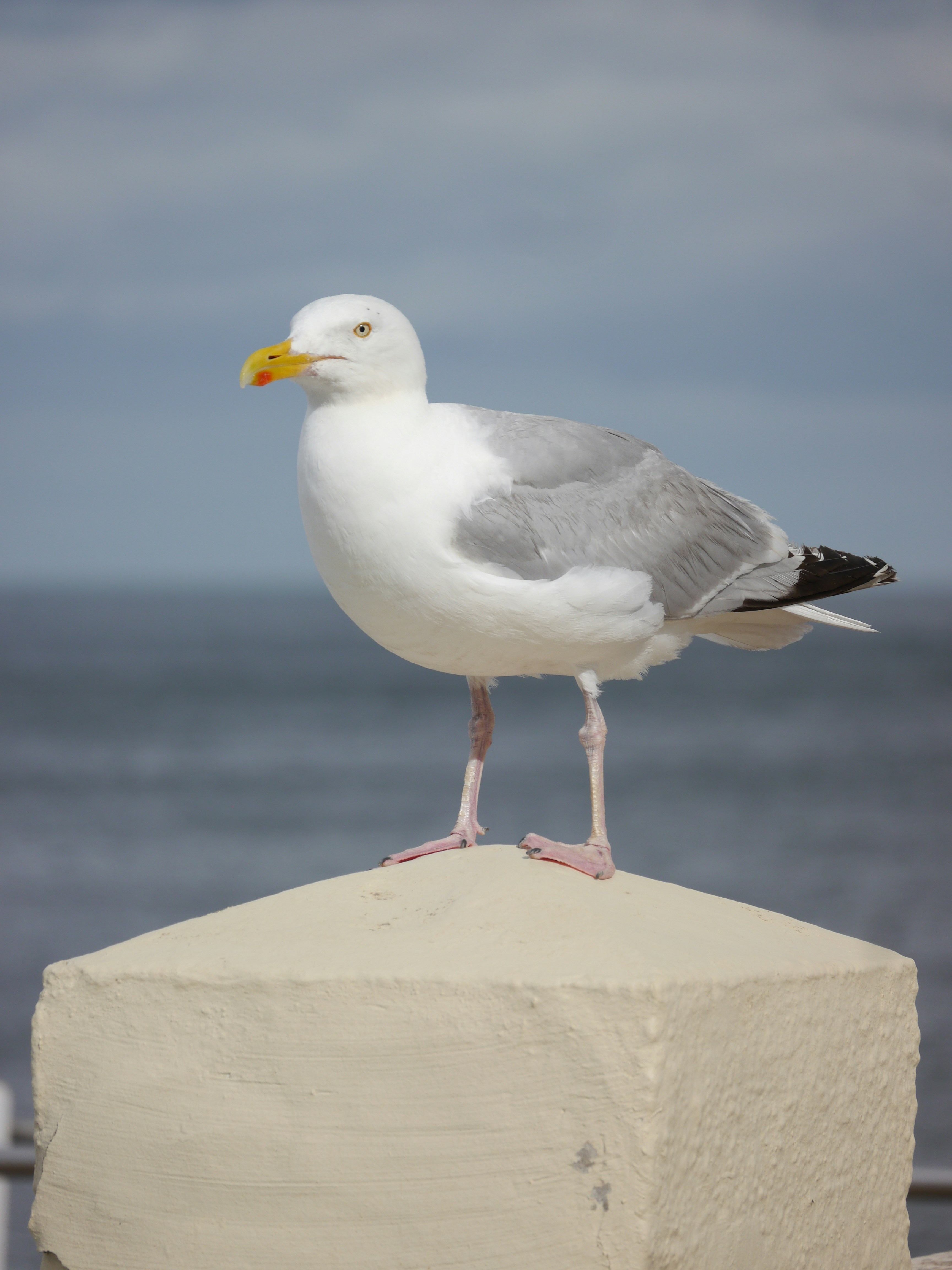 Photo by iqsphotography