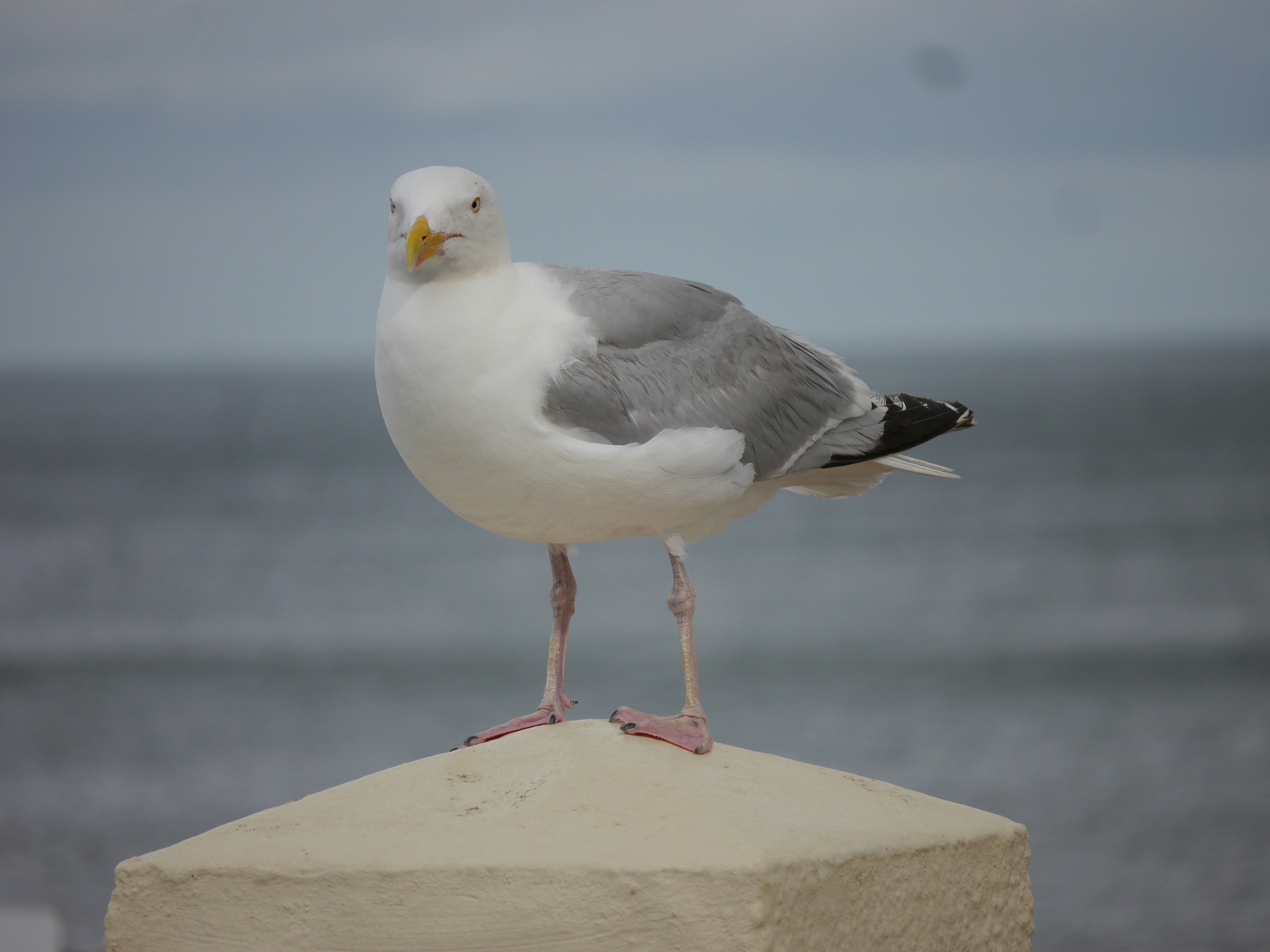 Photo by iqsphotography