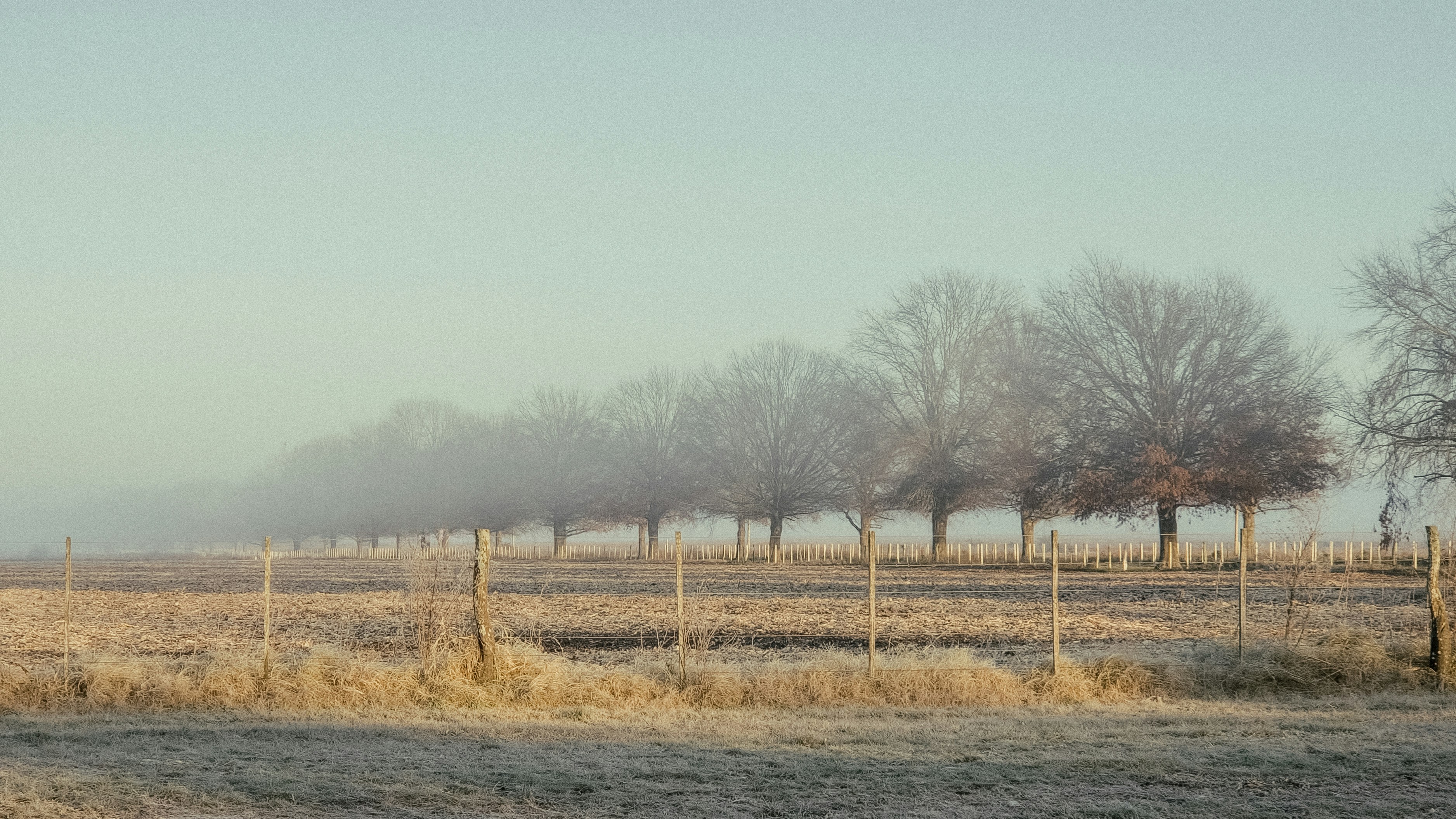 Photo by dariobonzi39