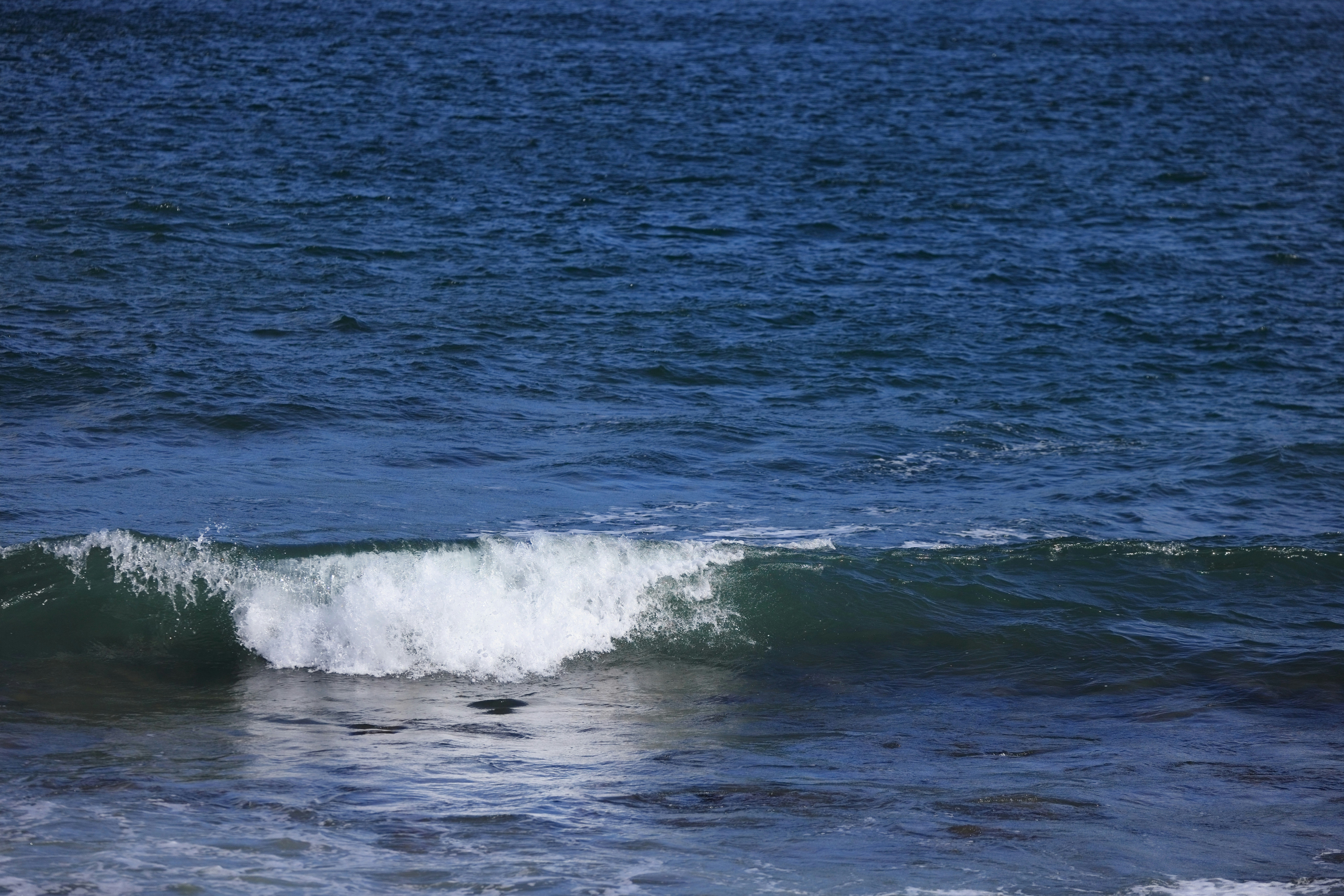 Photo by dickenslin76