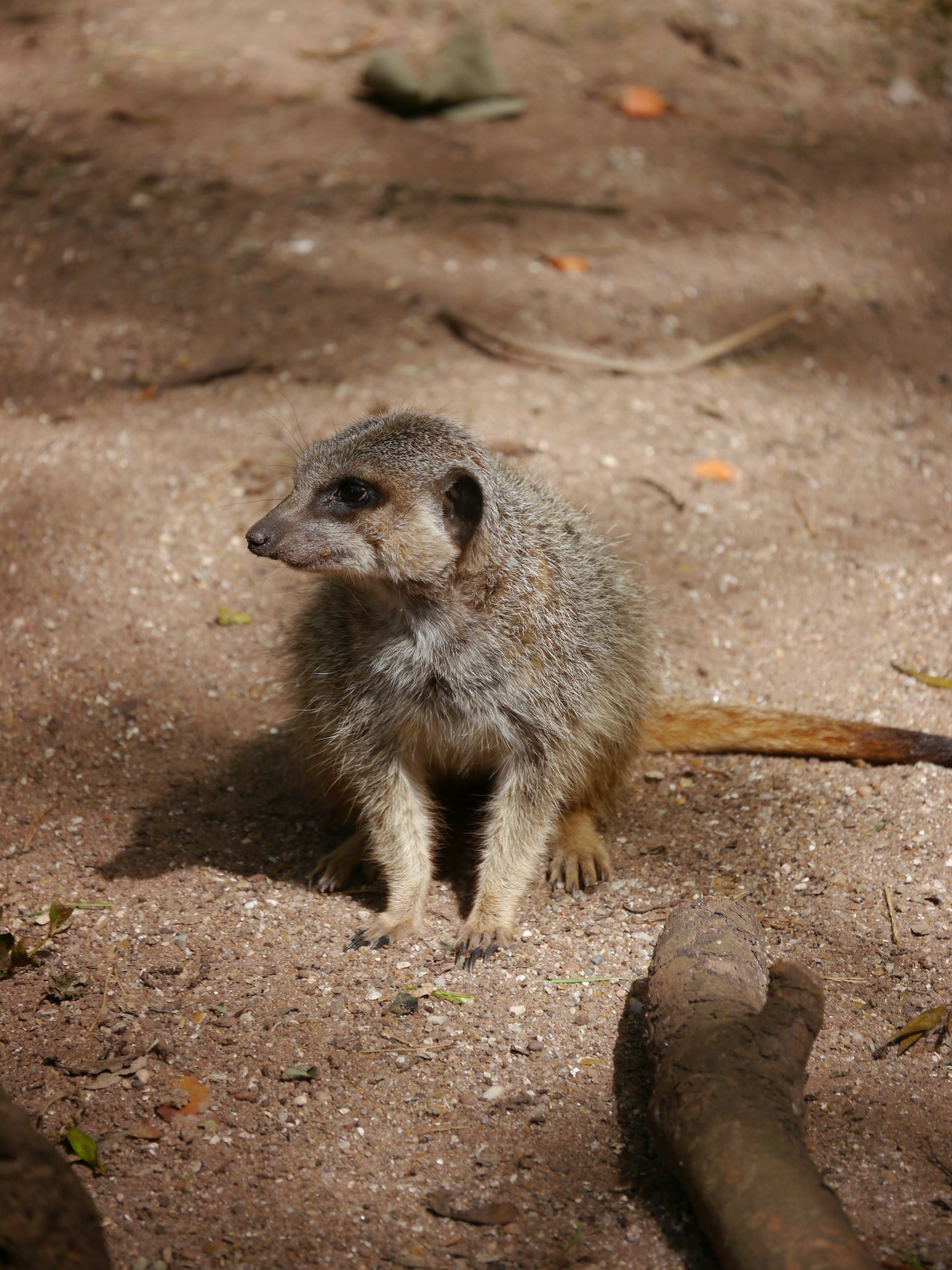 Photo by iqsphotography