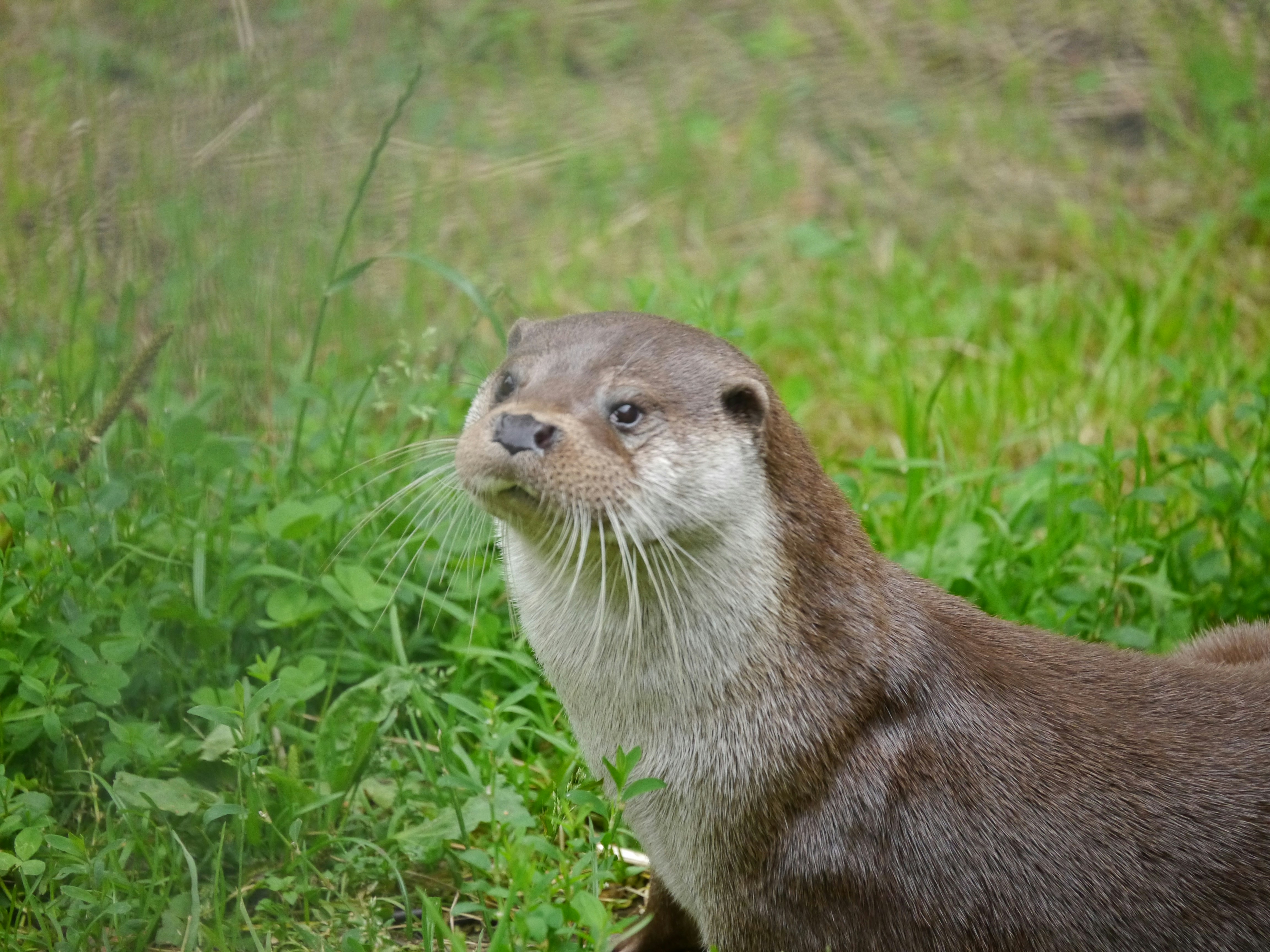 Photo by iqsphotography