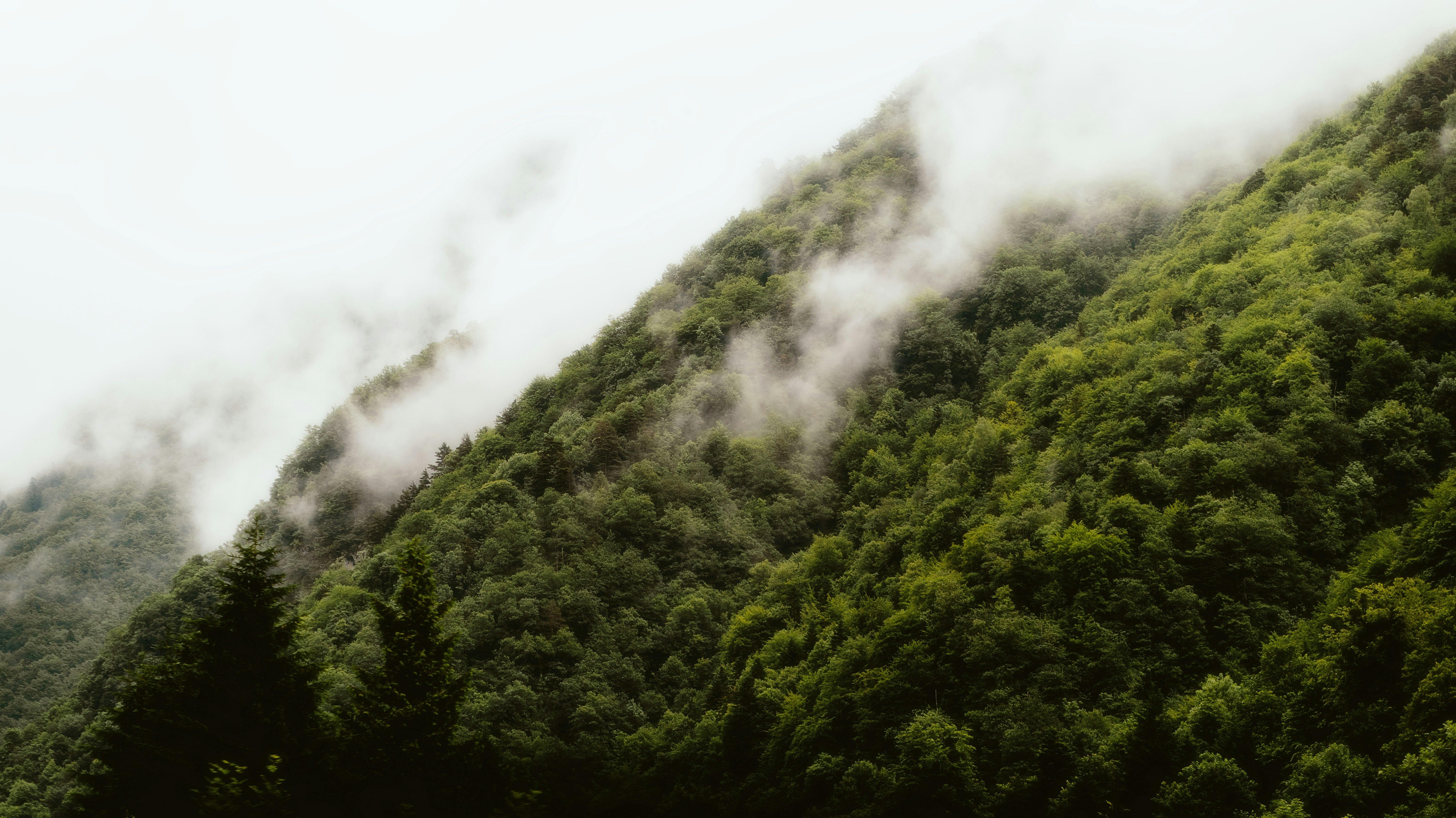 Photo by alingavriliuc