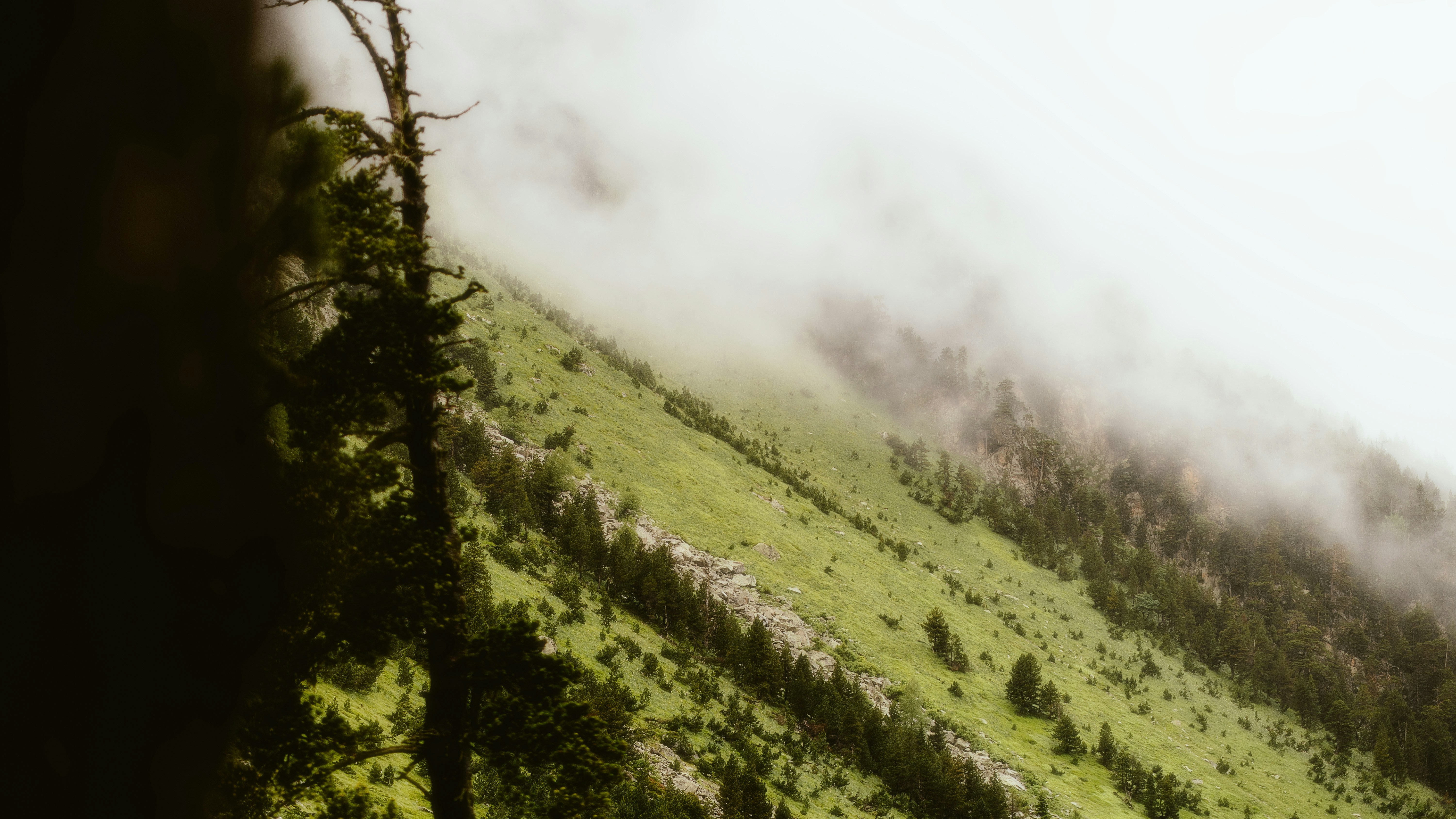 Photo by alingavriliuc