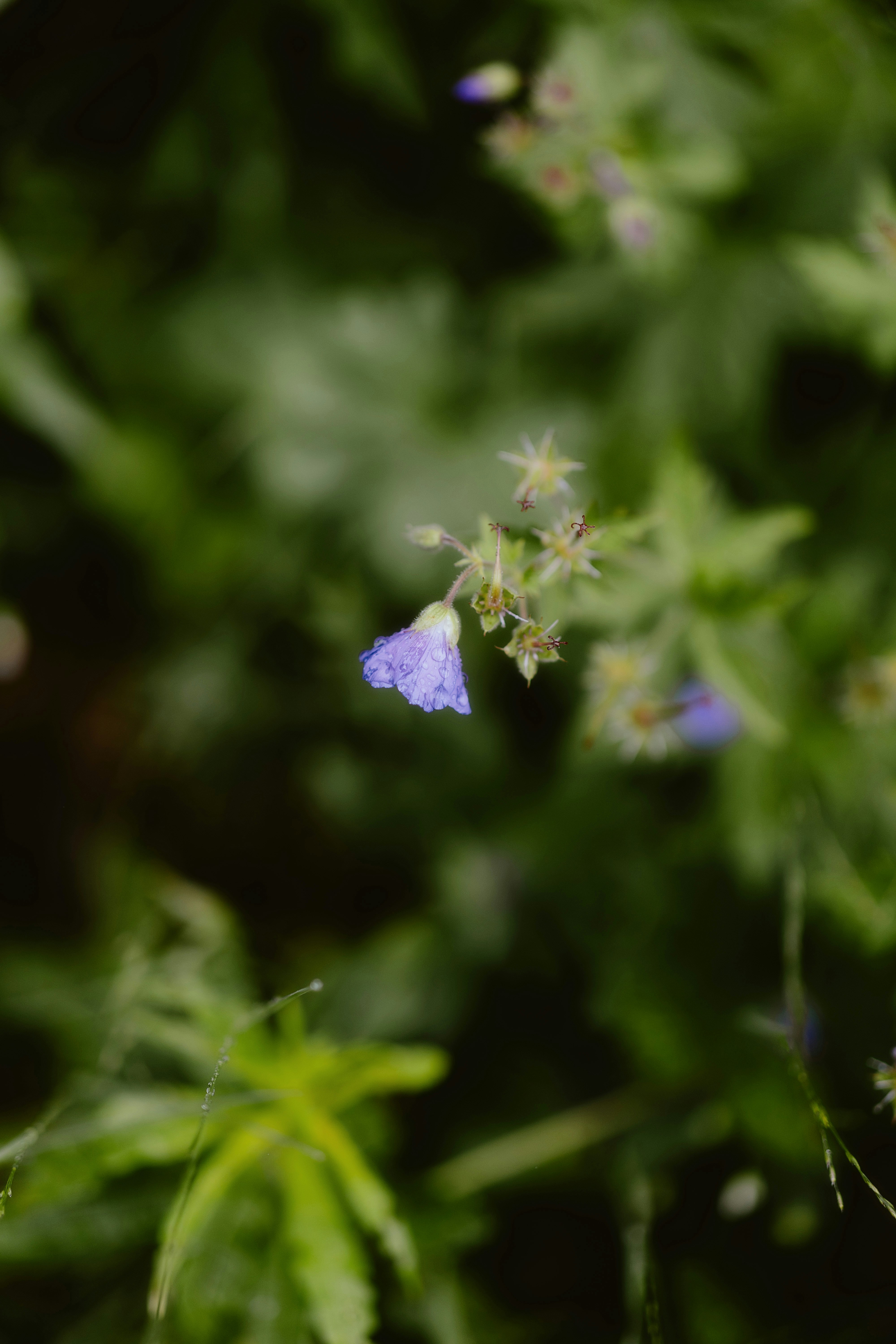 Photo by alingavriliuc