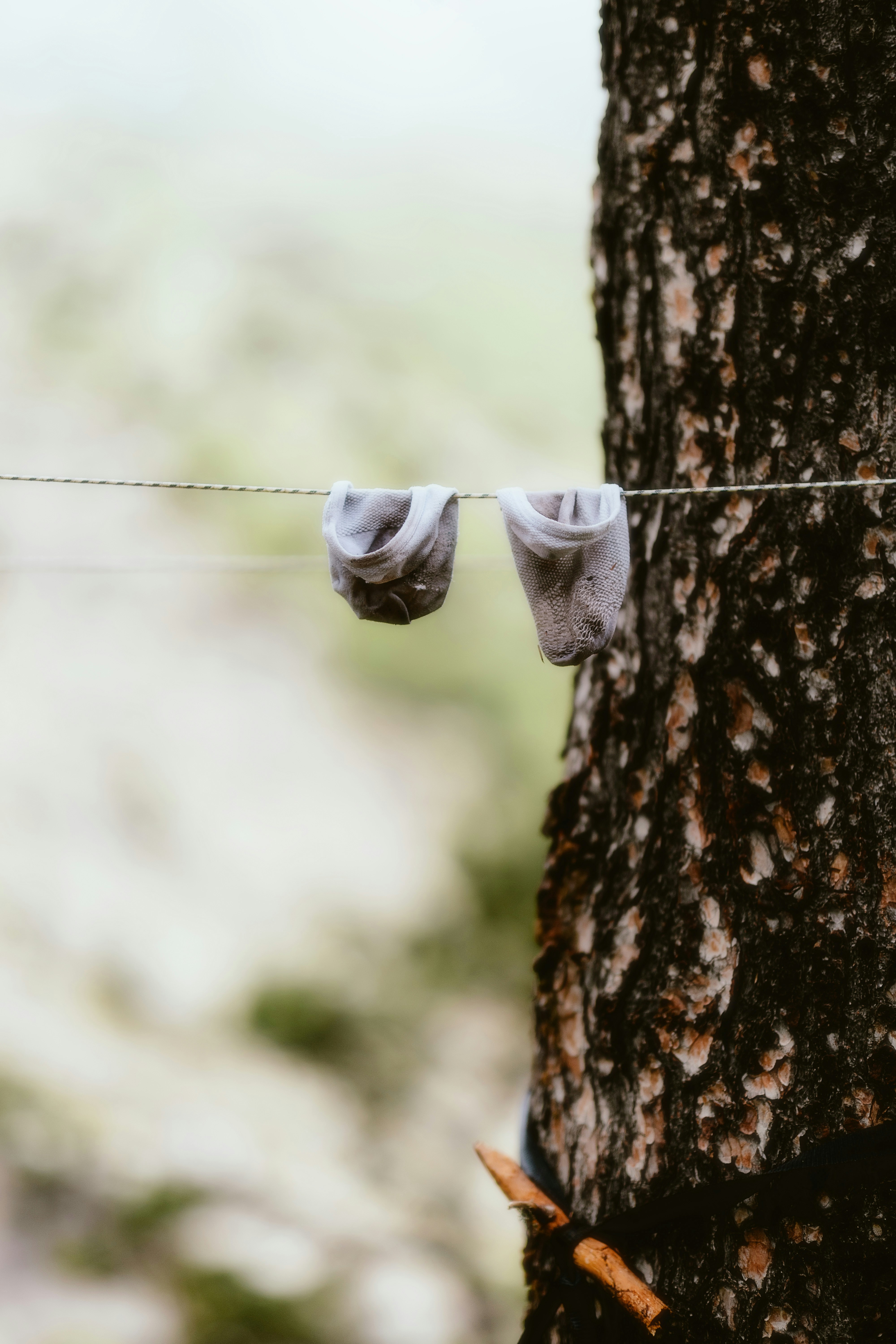 Photo by alingavriliuc