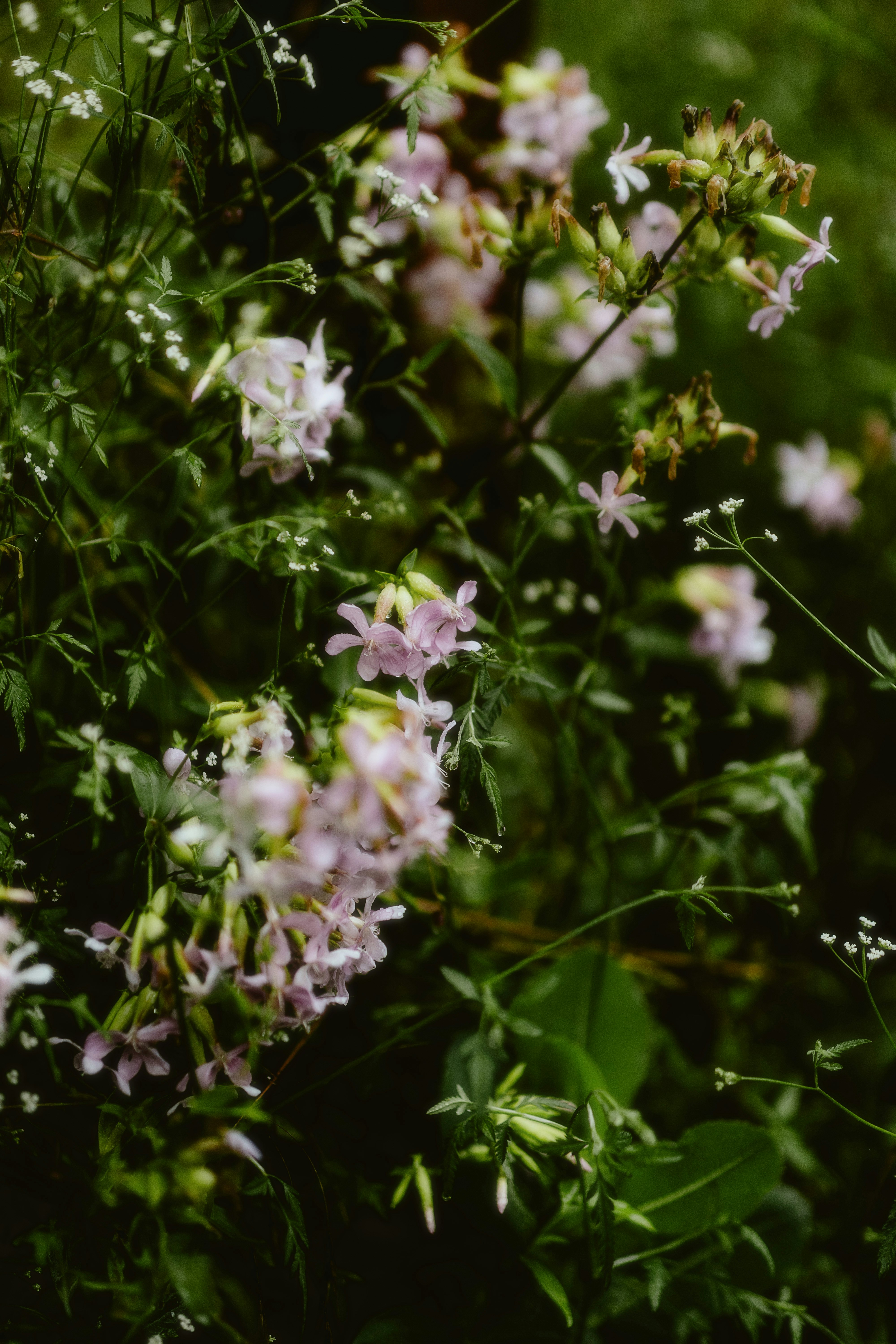 Photo by alingavriliuc