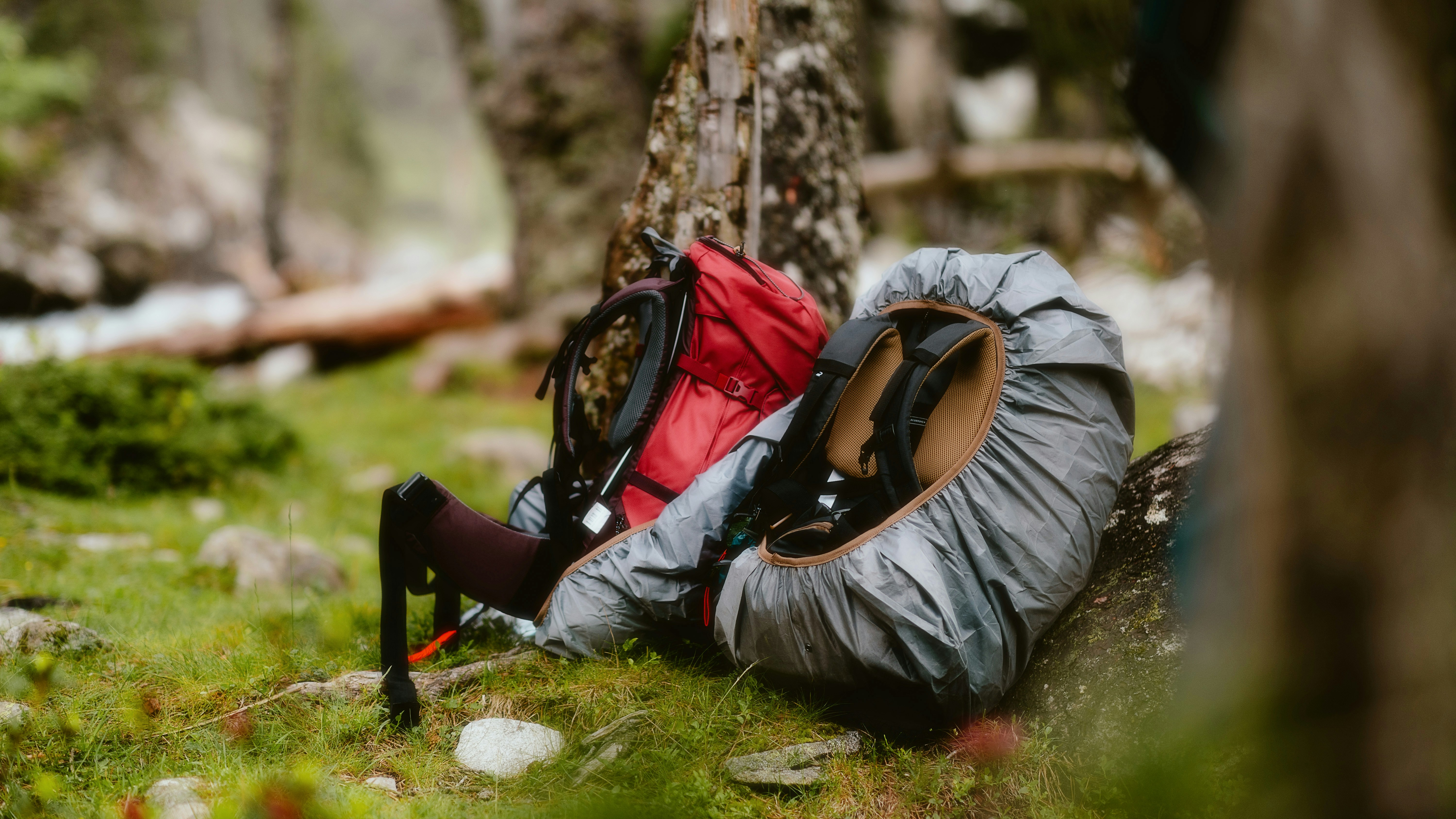 A backpack laying on the ground in the woods