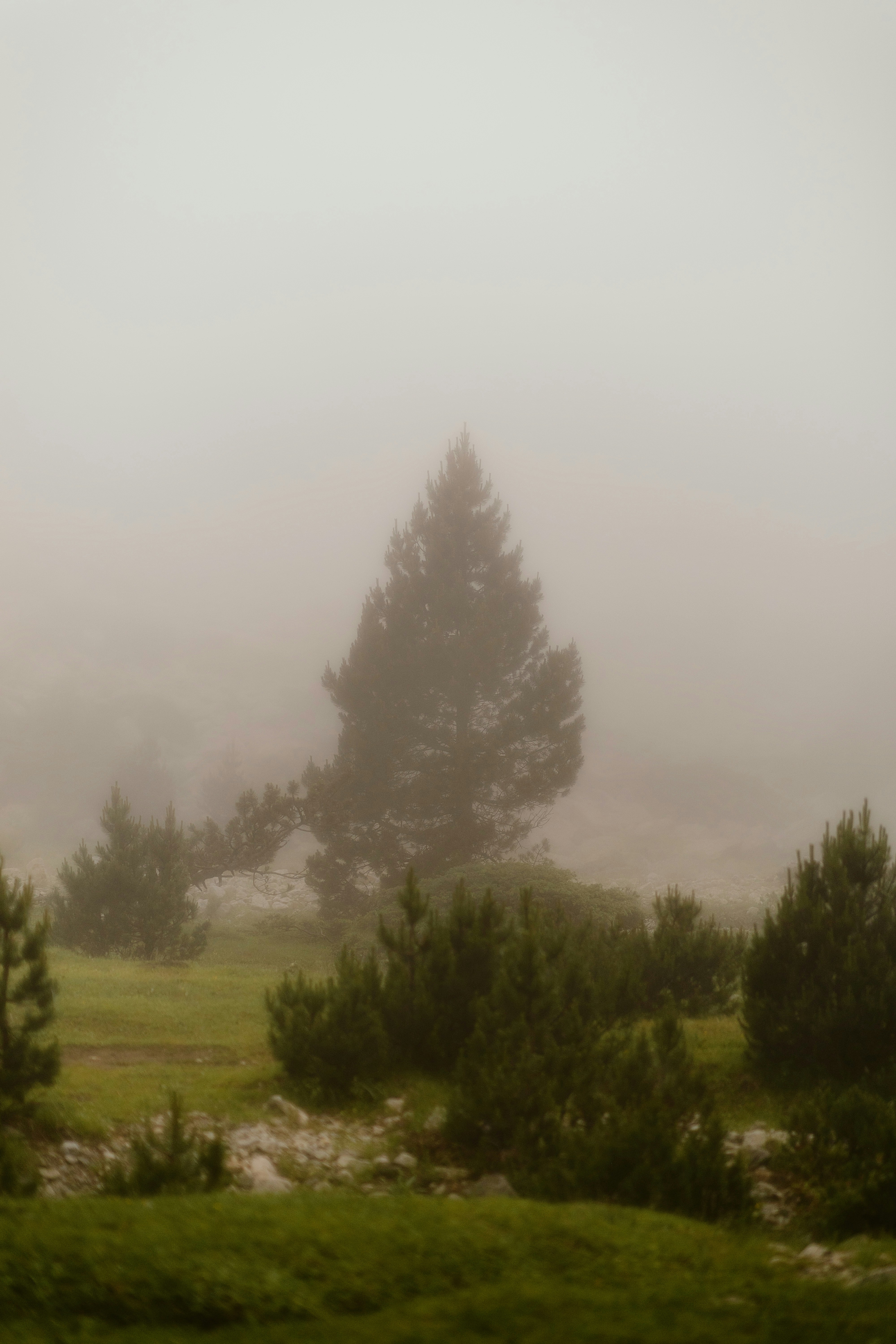 Photo by alingavriliuc