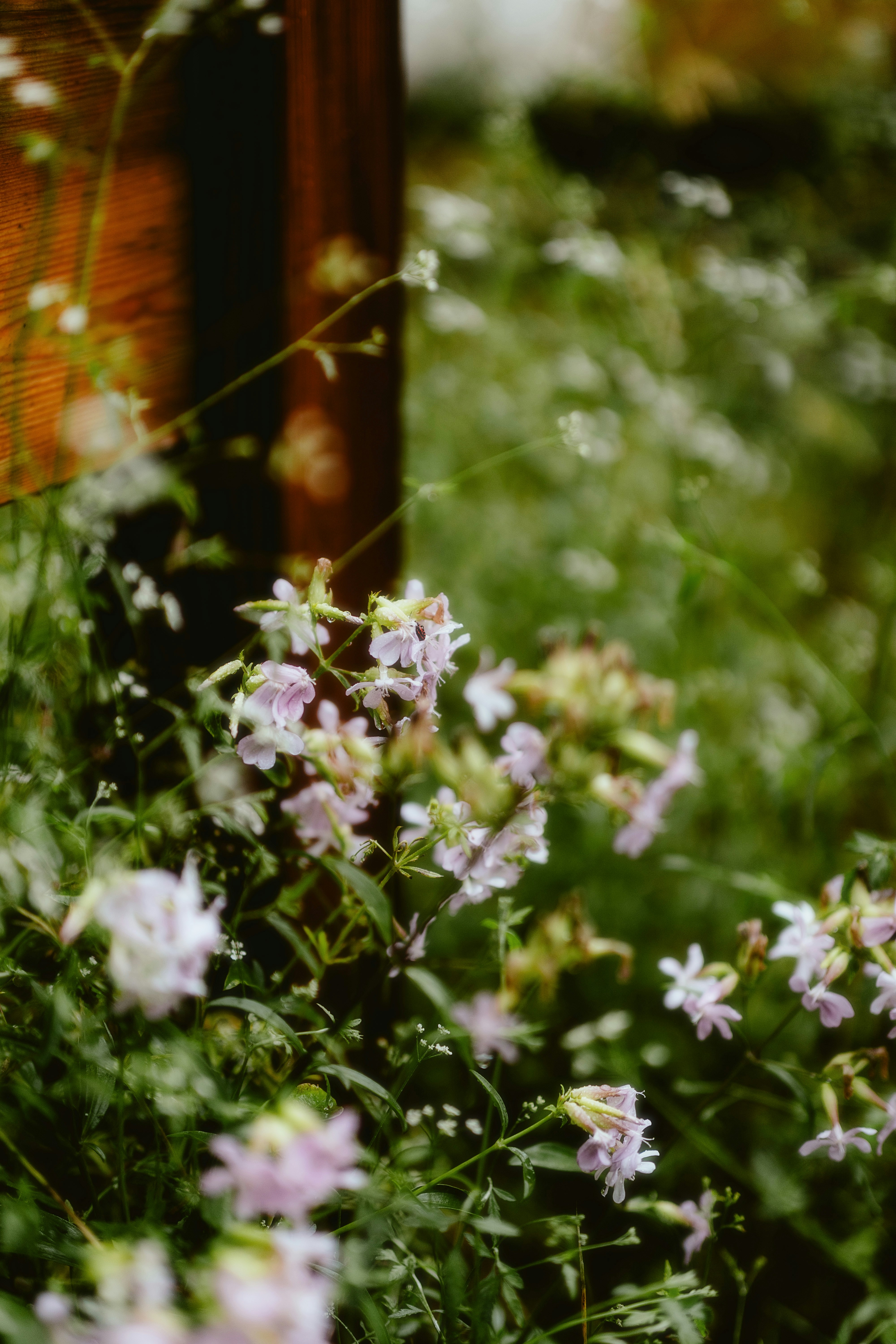 Photo by alingavriliuc