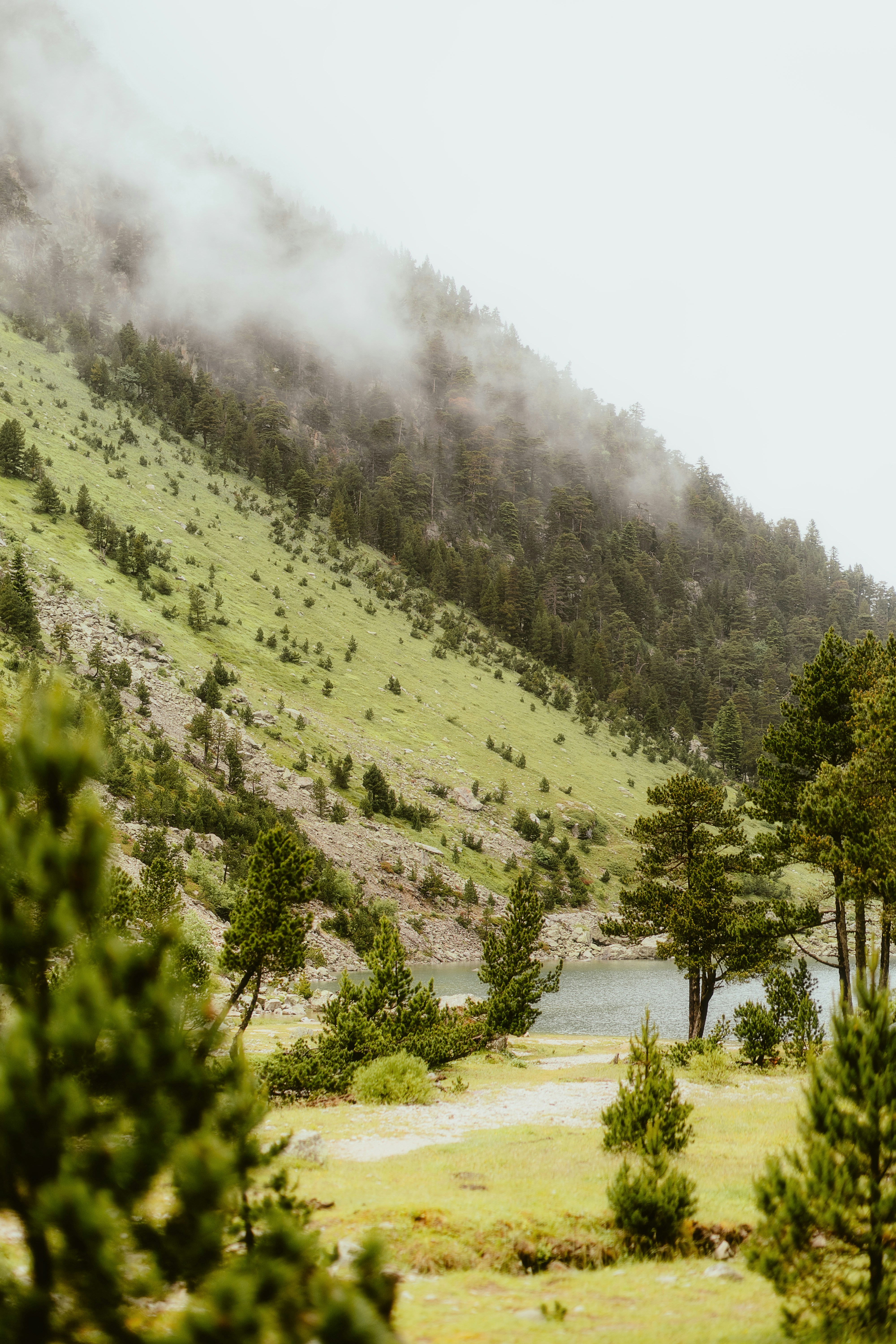 Photo by alingavriliuc