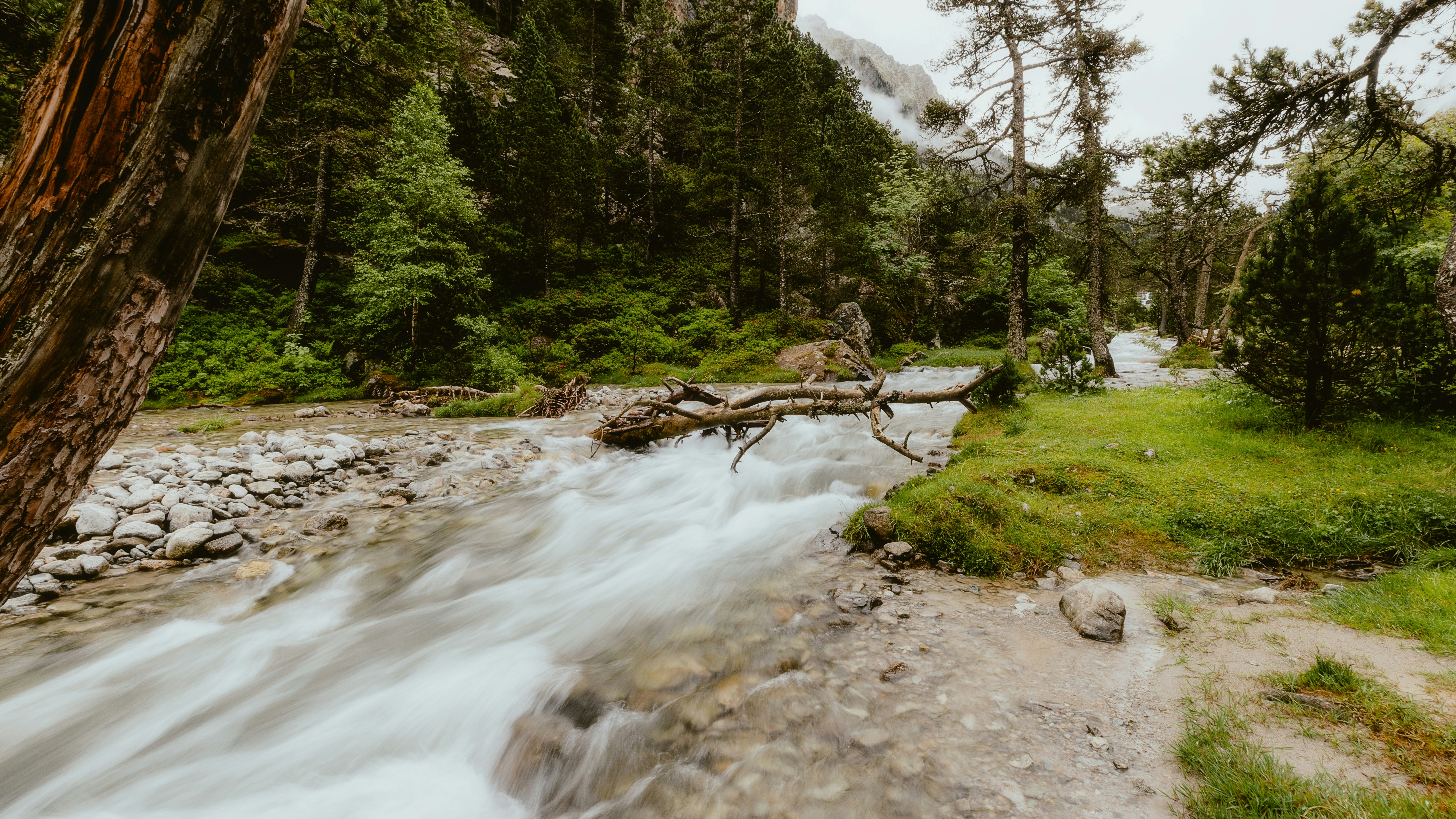 Photo by alingavriliuc