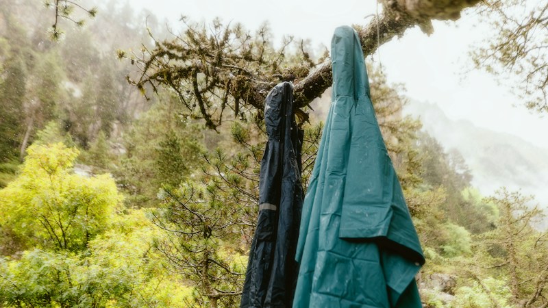 A teal rain jacket and a dark jacket hanging to dry from a mossy tree branch above a green, misty mountain valley
