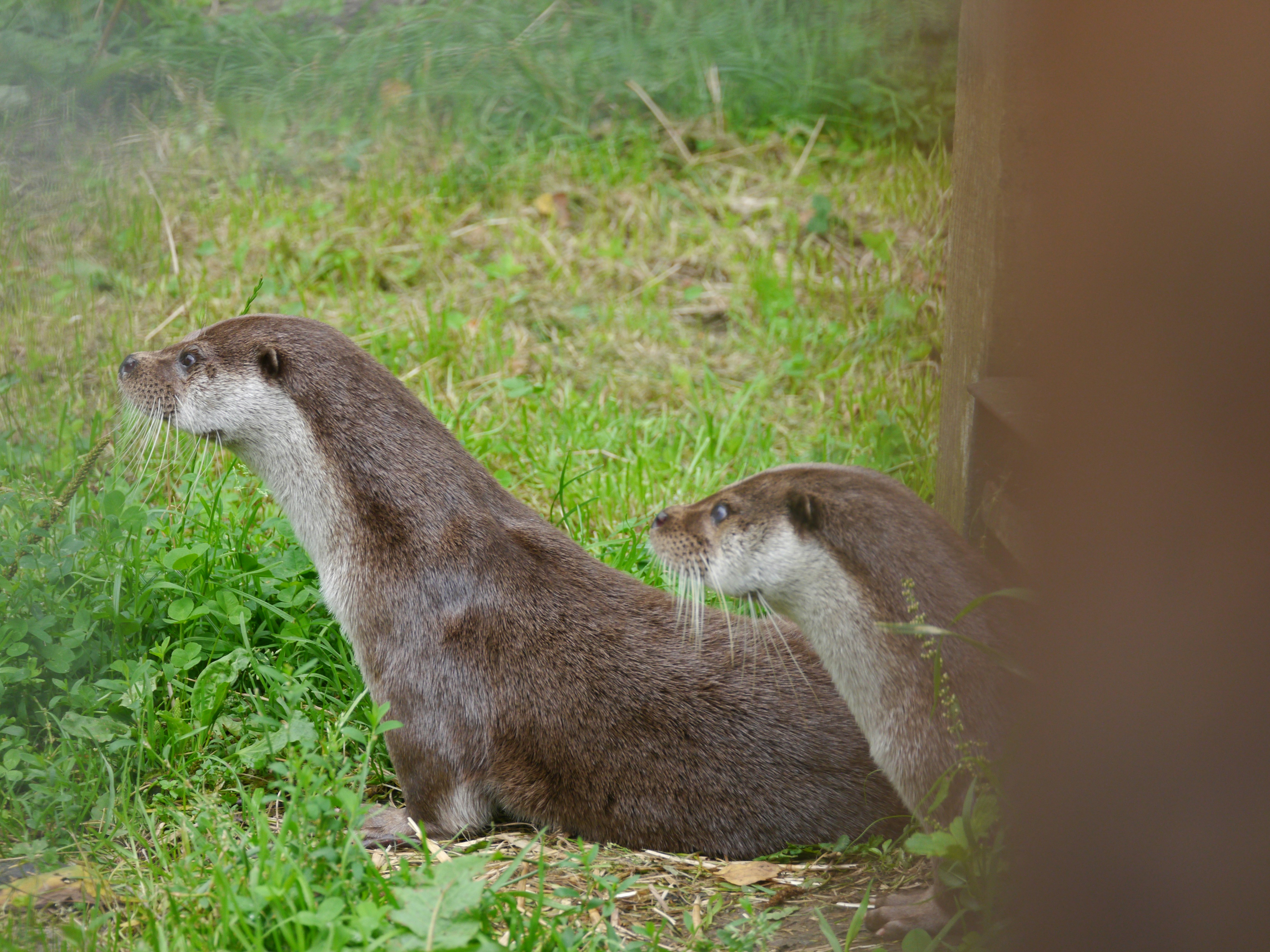 Photo by iqsphotography