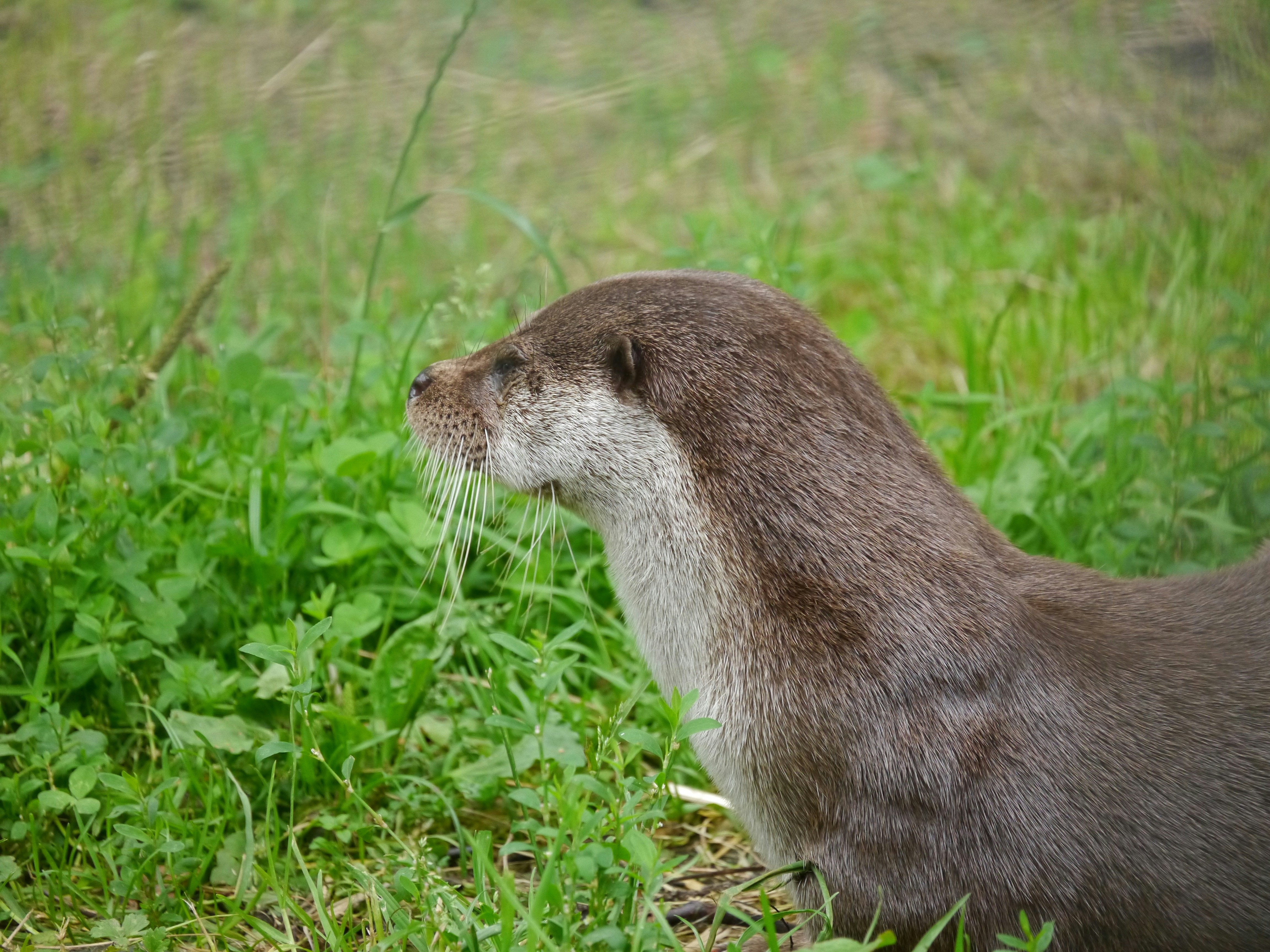 Photo by iqsphotography