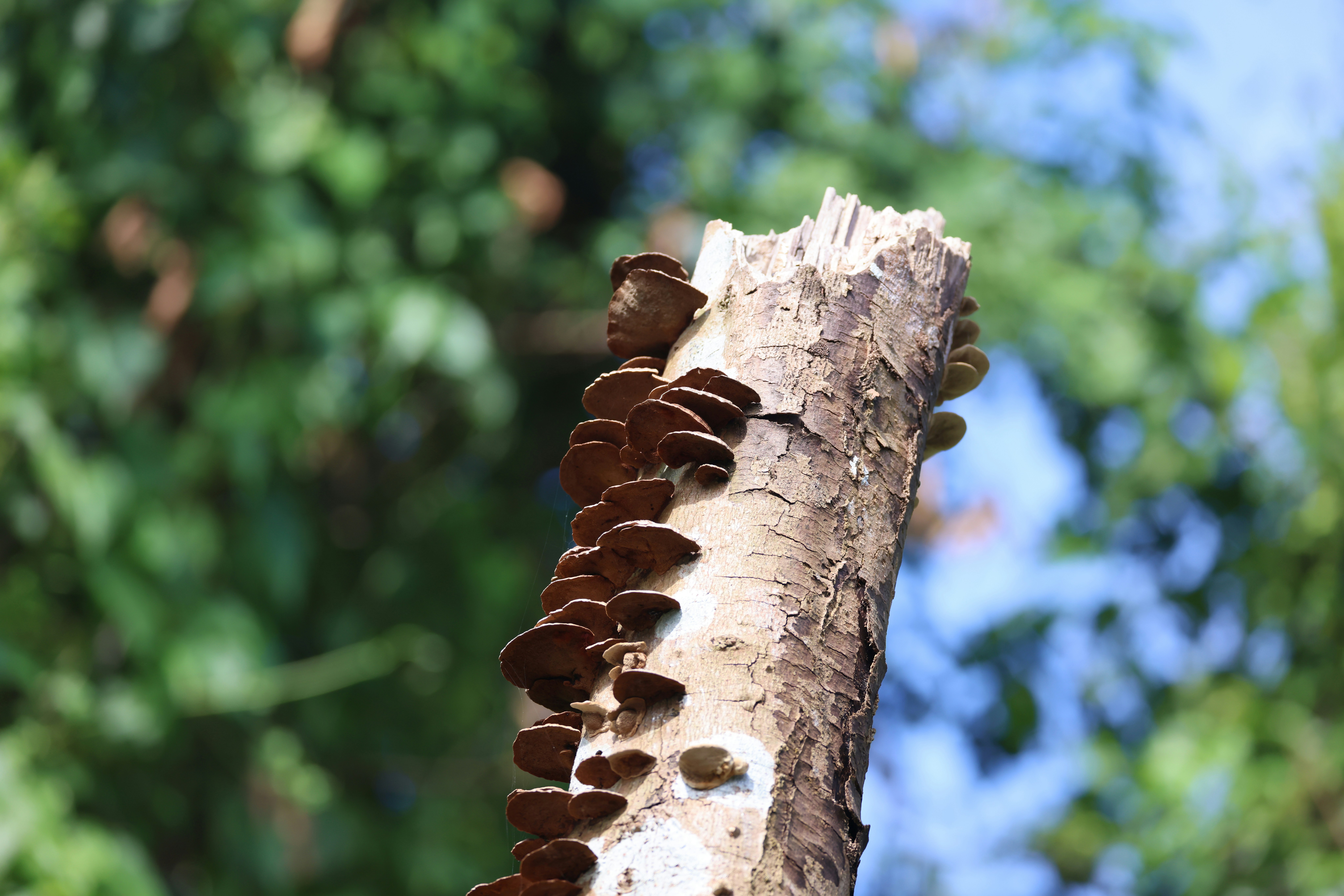 Photo by dickenslin76