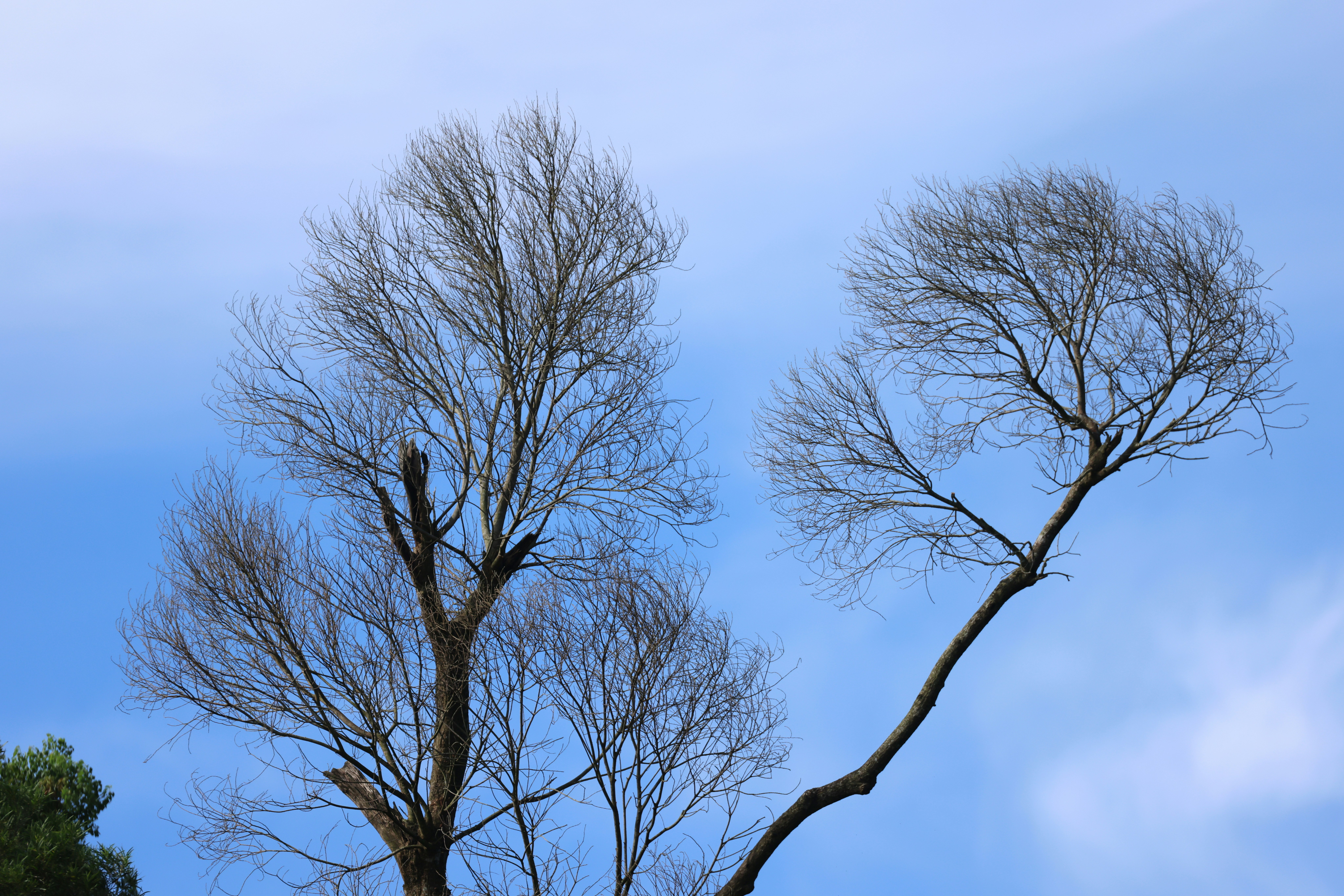 Photo by dickenslin76